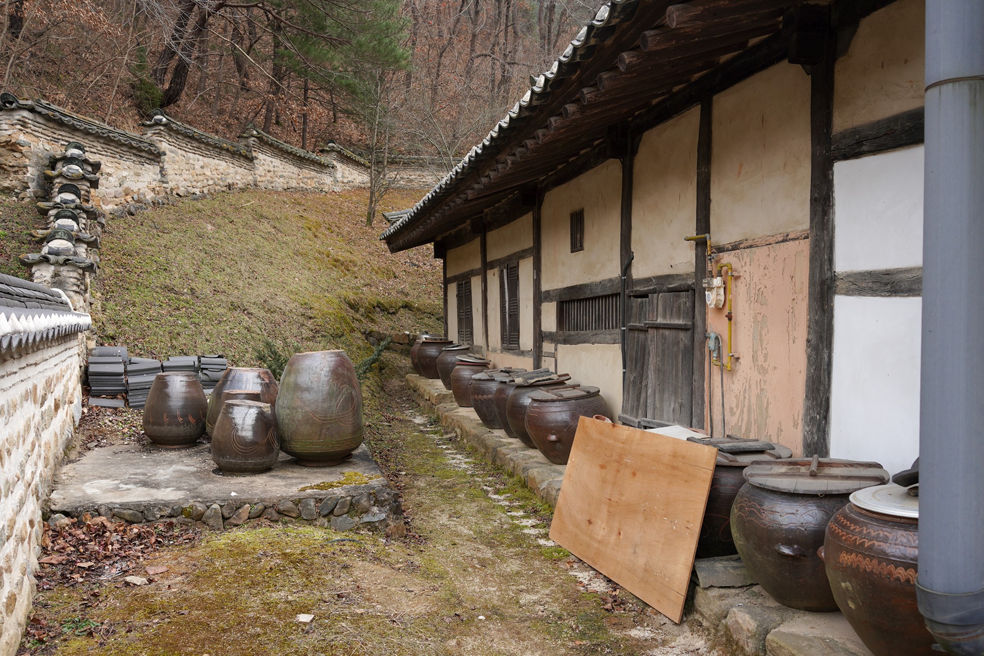 Andong 3 (68)