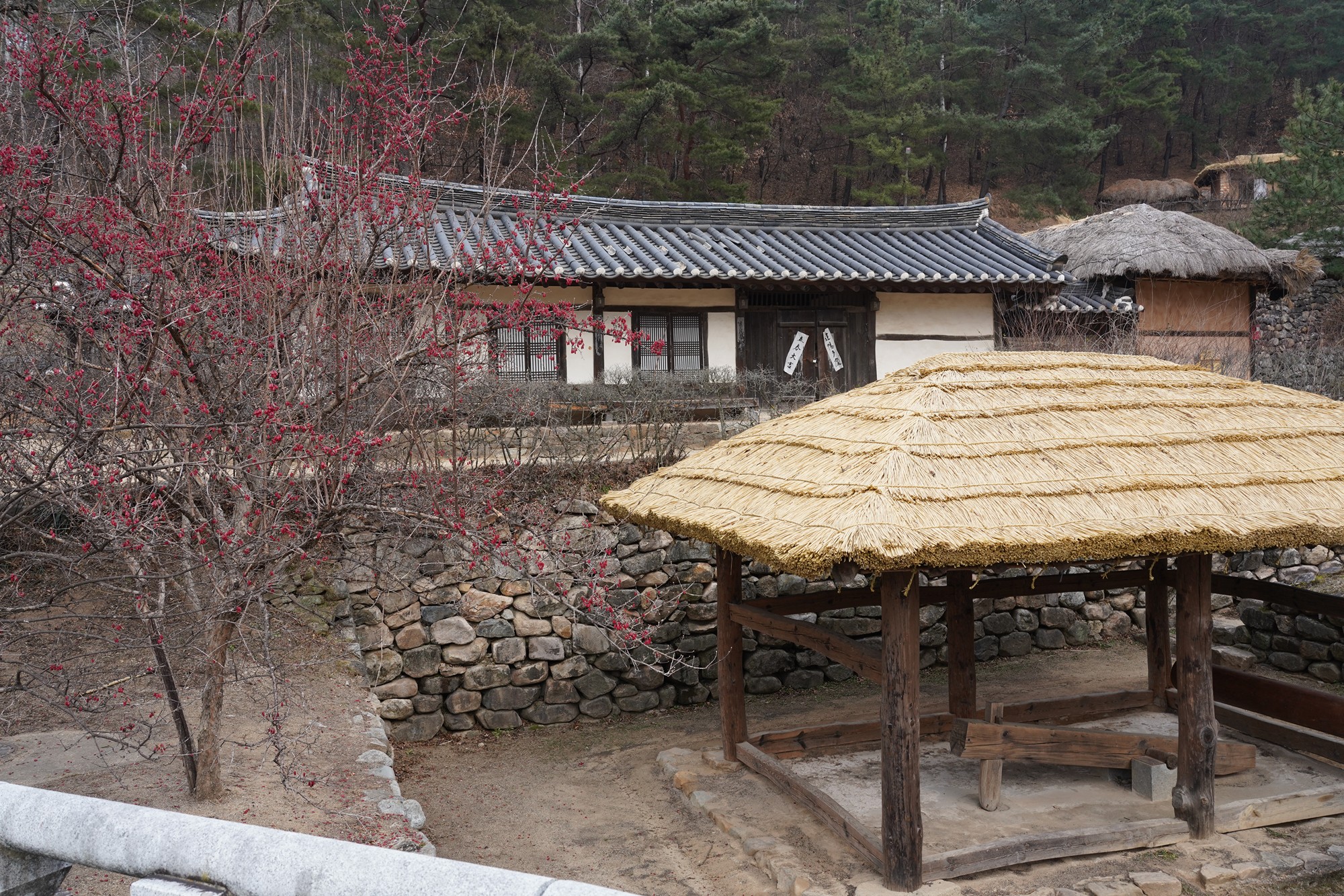 Andong 3 (75)