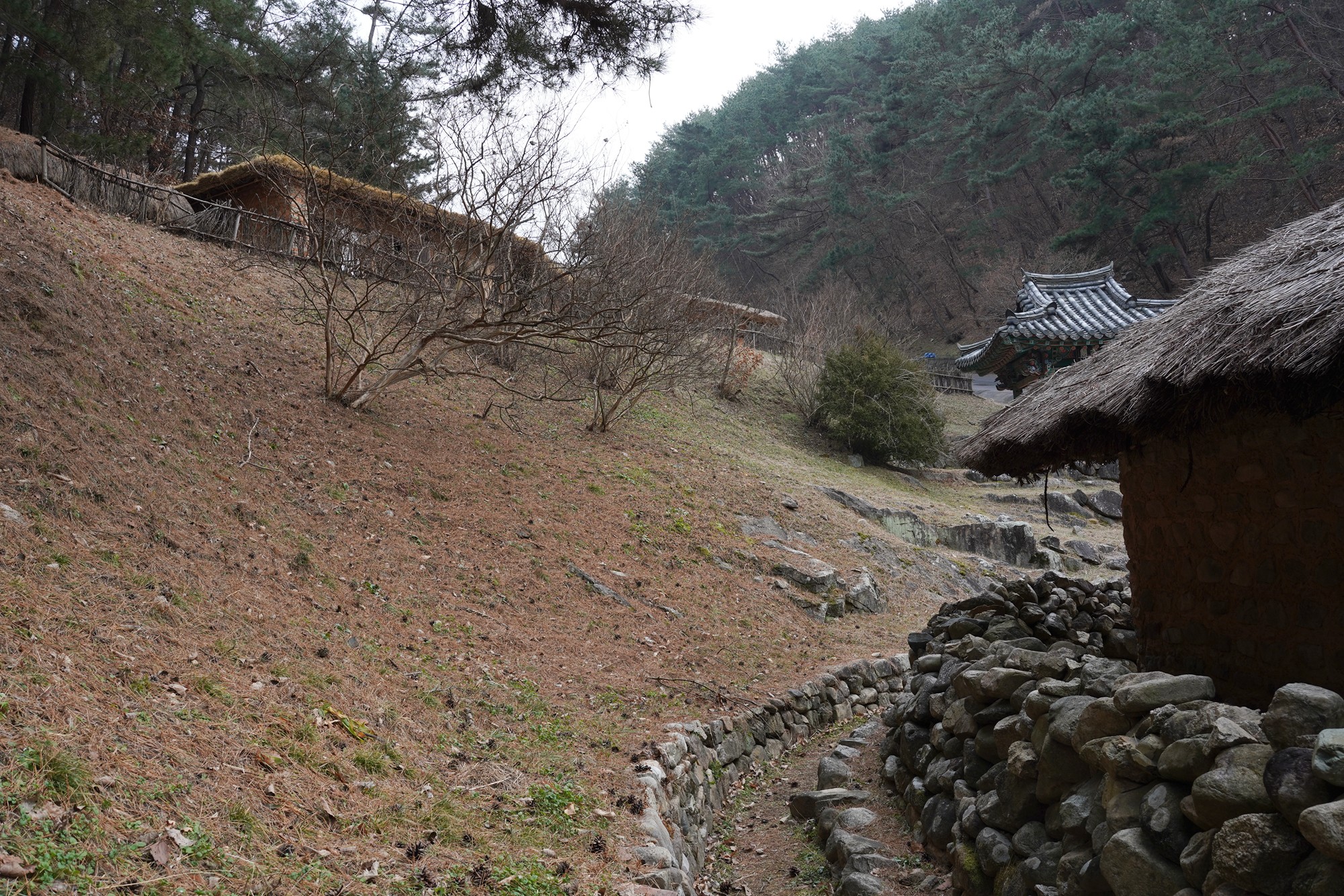 Andong 3 (79)