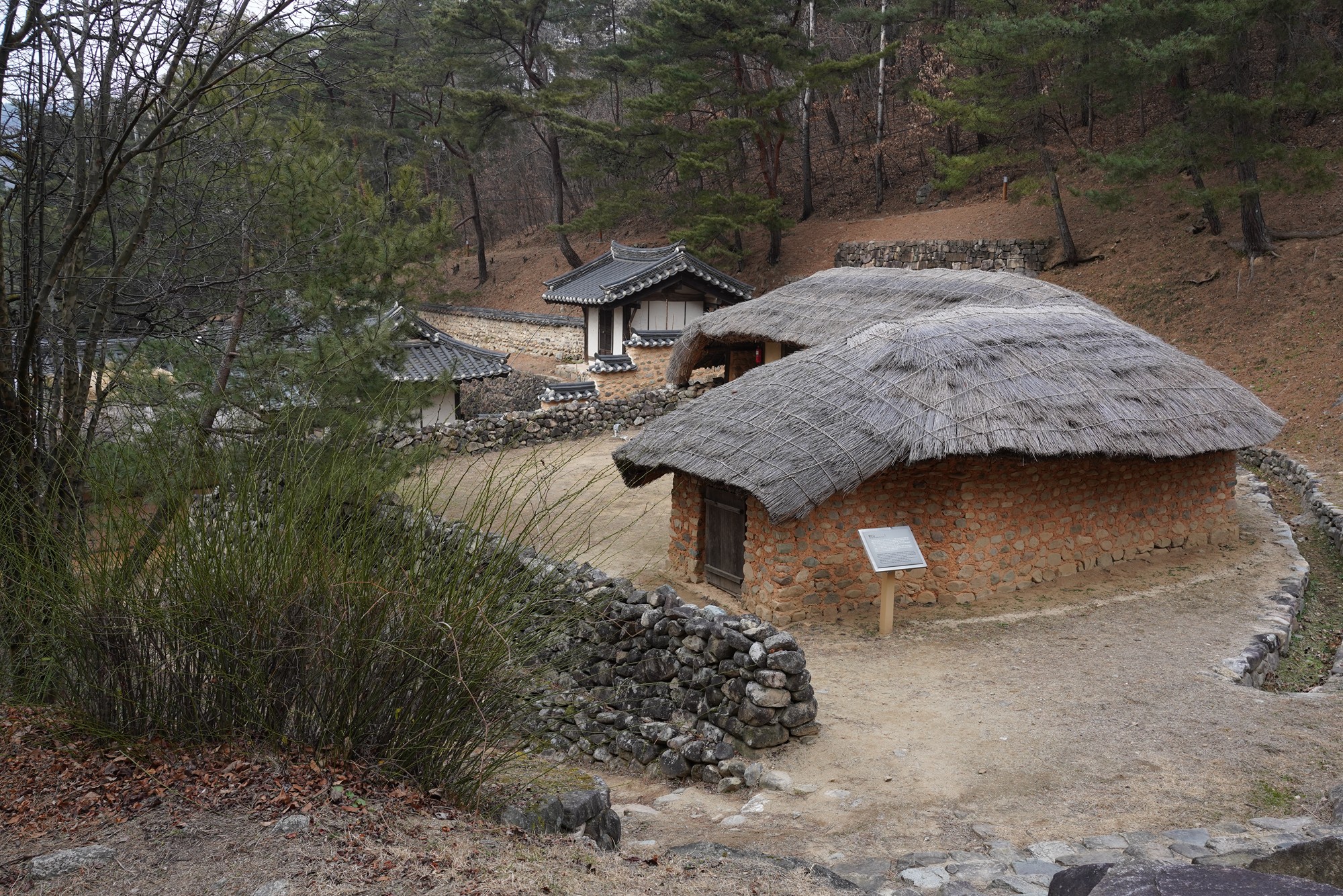 Andong 3 (81)