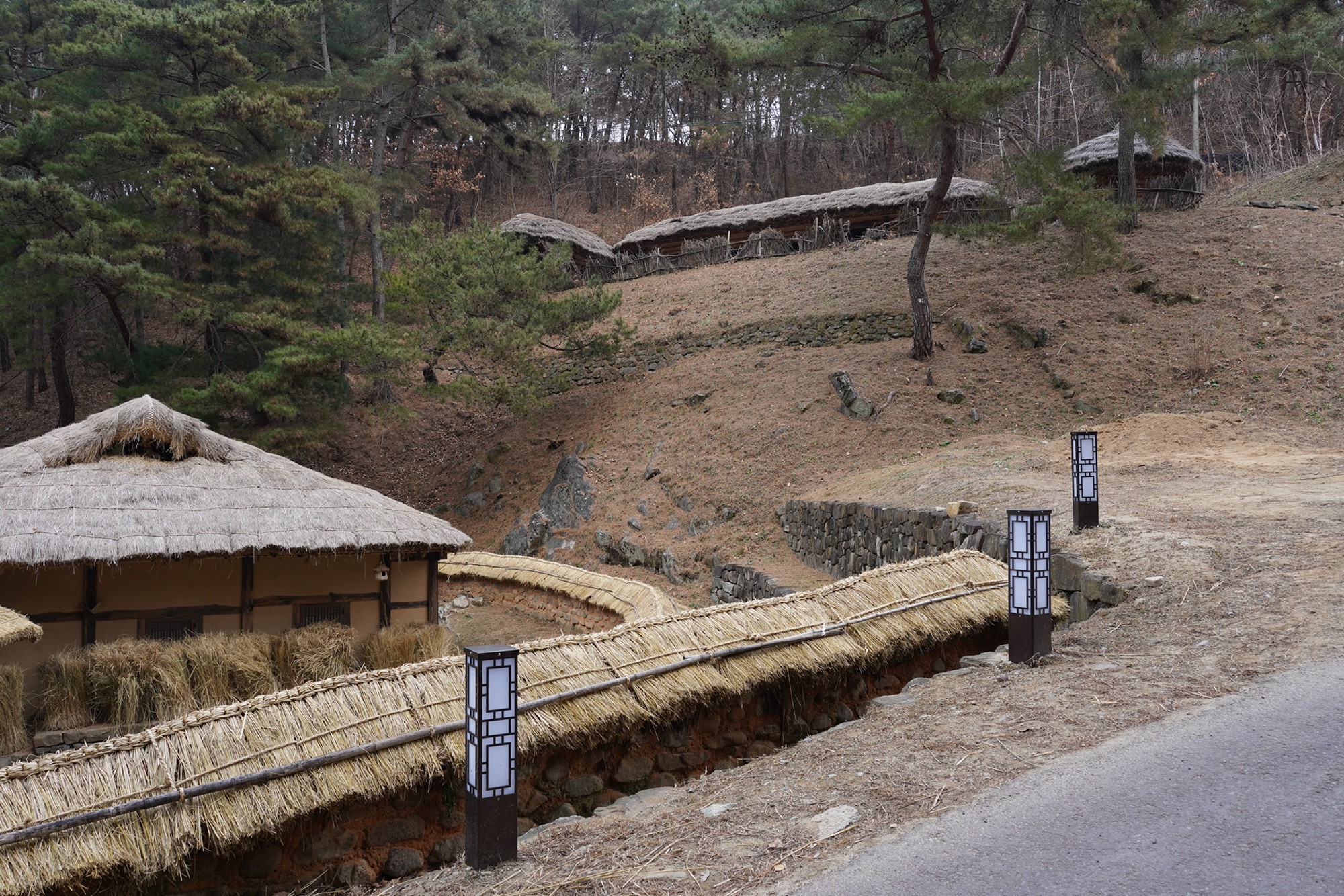 Andong 3 (86)