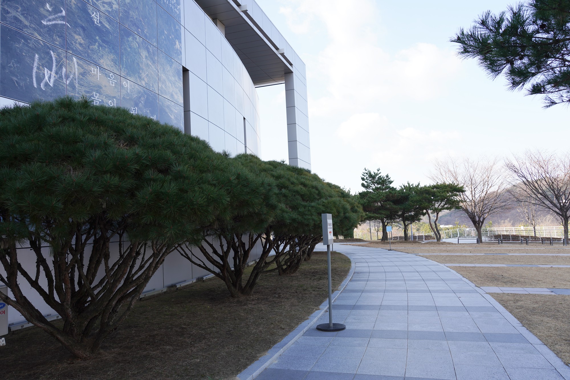 Daegu 4 (3)