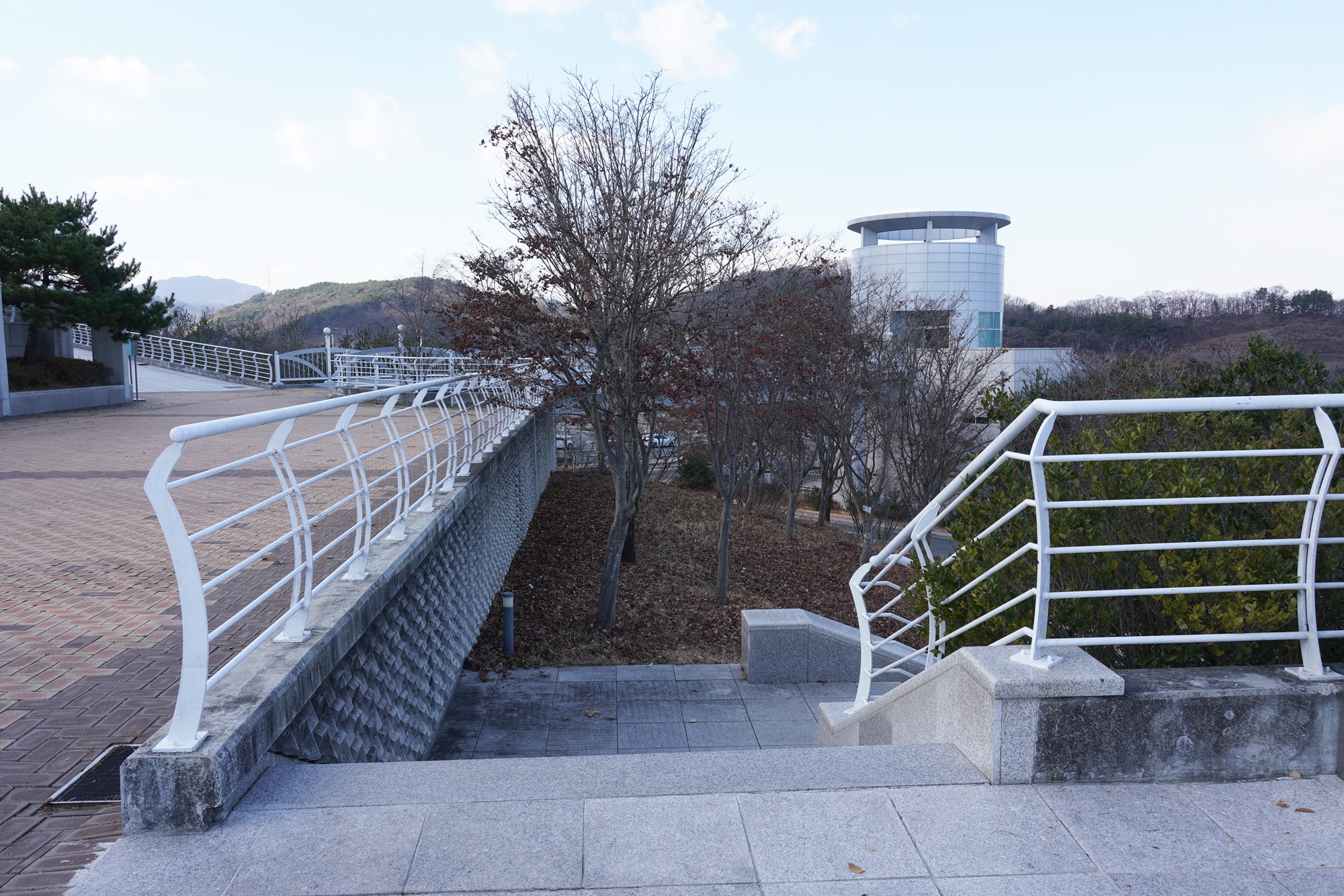 Daegu 4 (56)