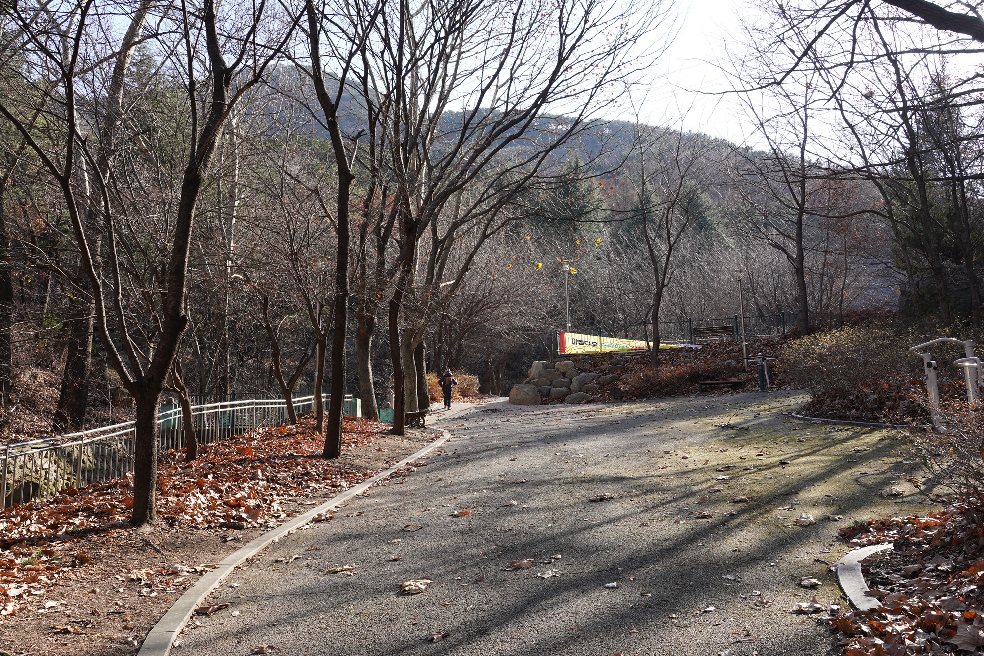 Daegu 4 (57)