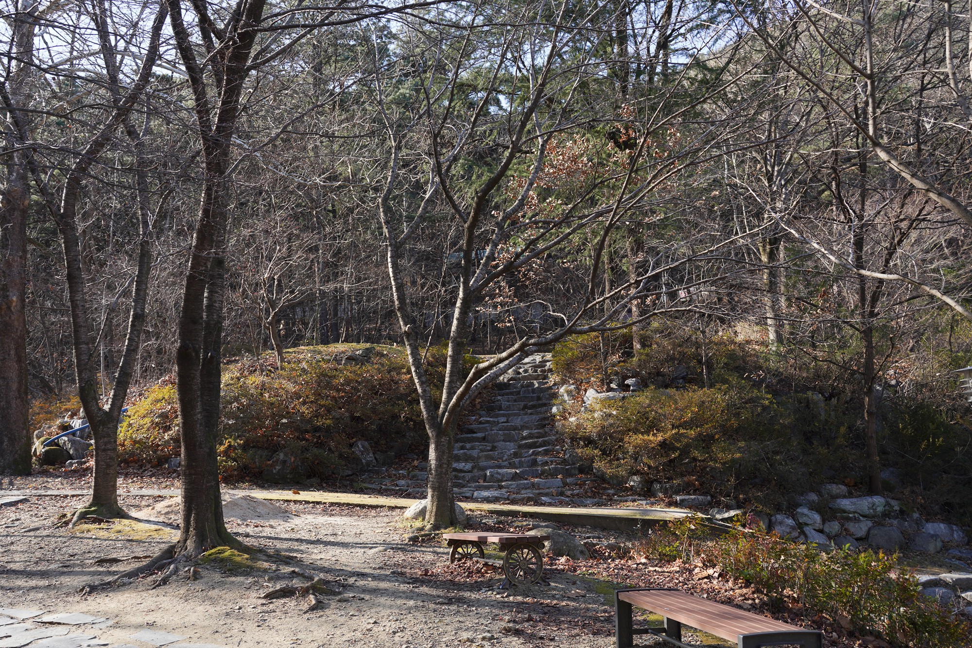 Daegu 4 (58)