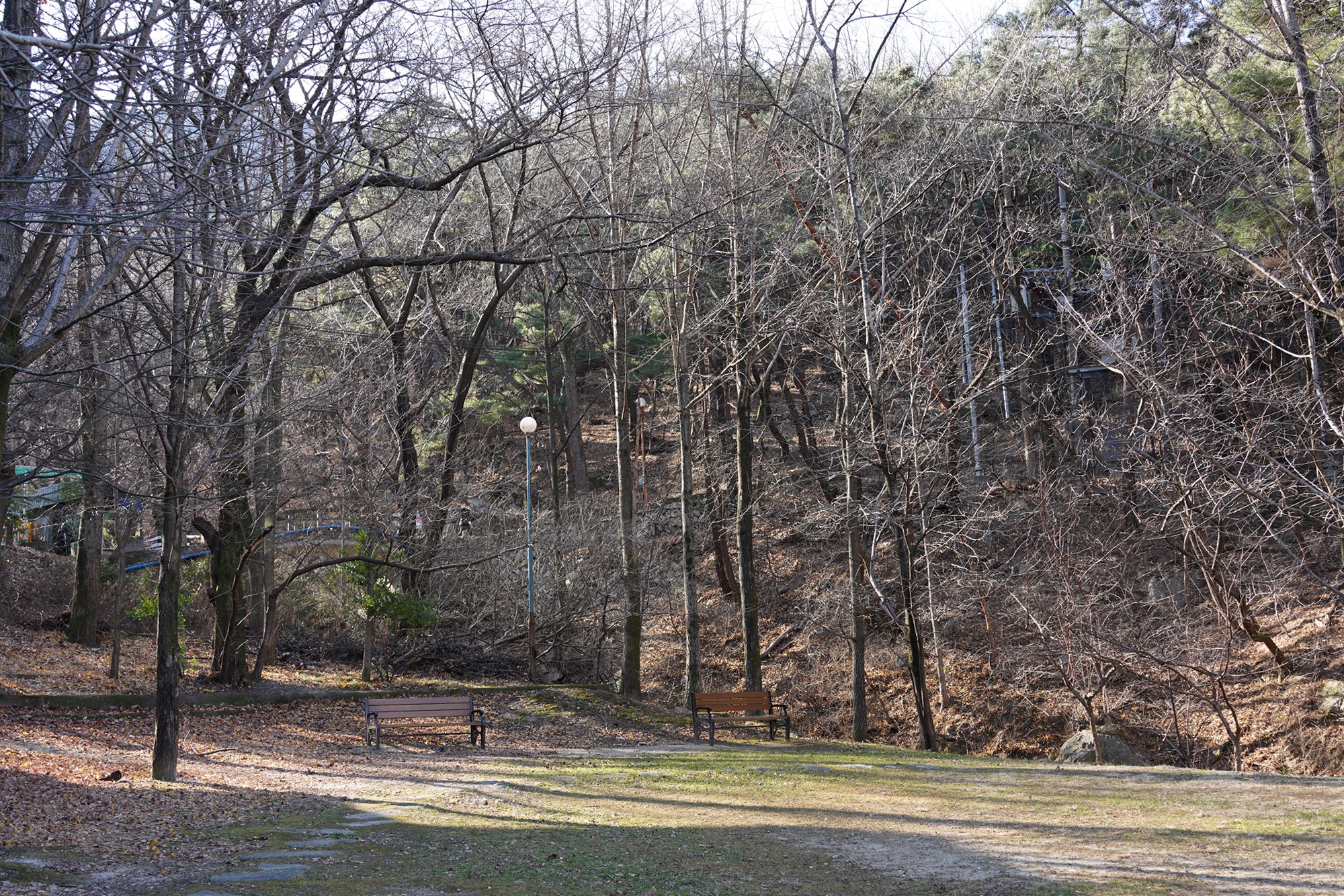 Daegu 4 (59)