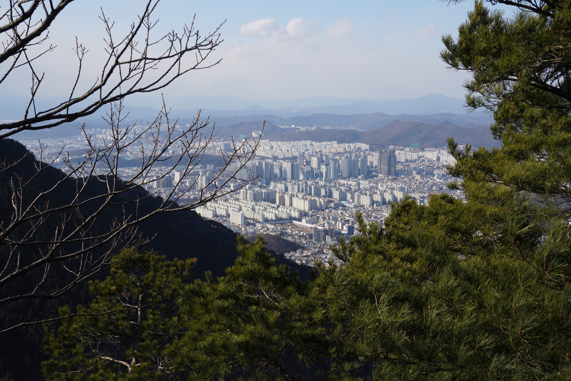 Daegu 4 (61)