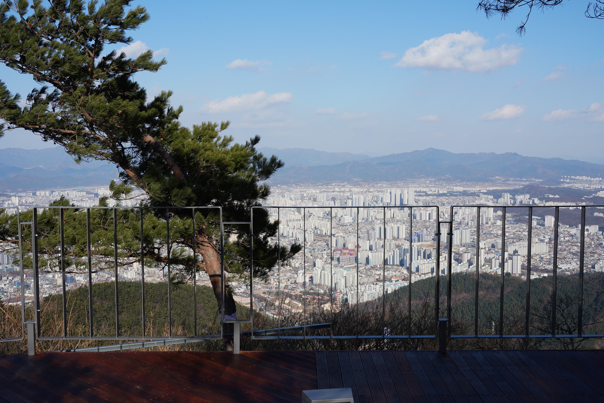 Daegu 4 (65)