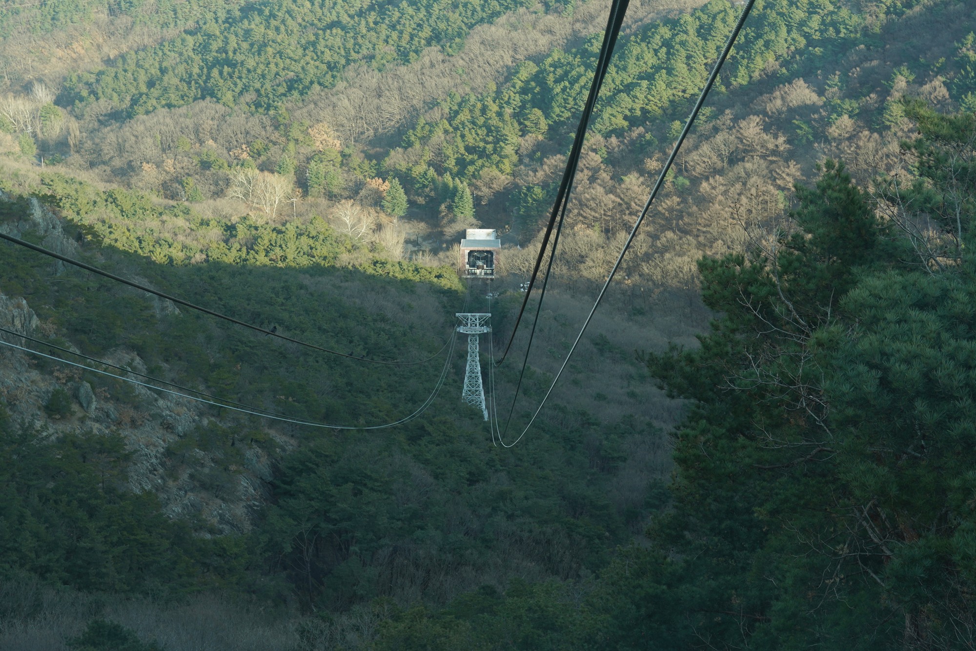 Daegu 4 (67)