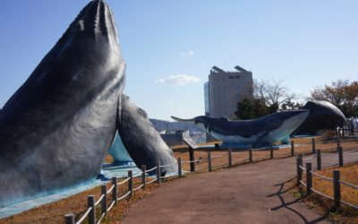 Ulsan, Whale Cultural Village, South Korea