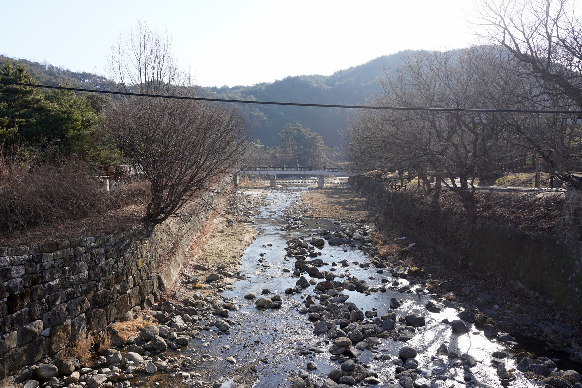 YeongJu (1)