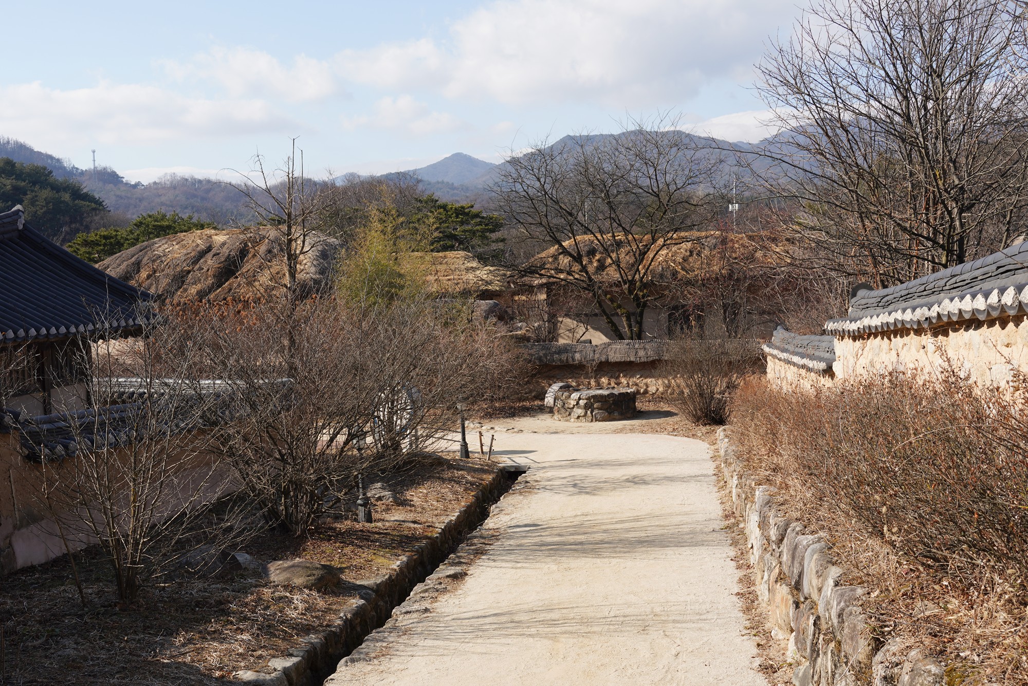 YeongJu (101)
