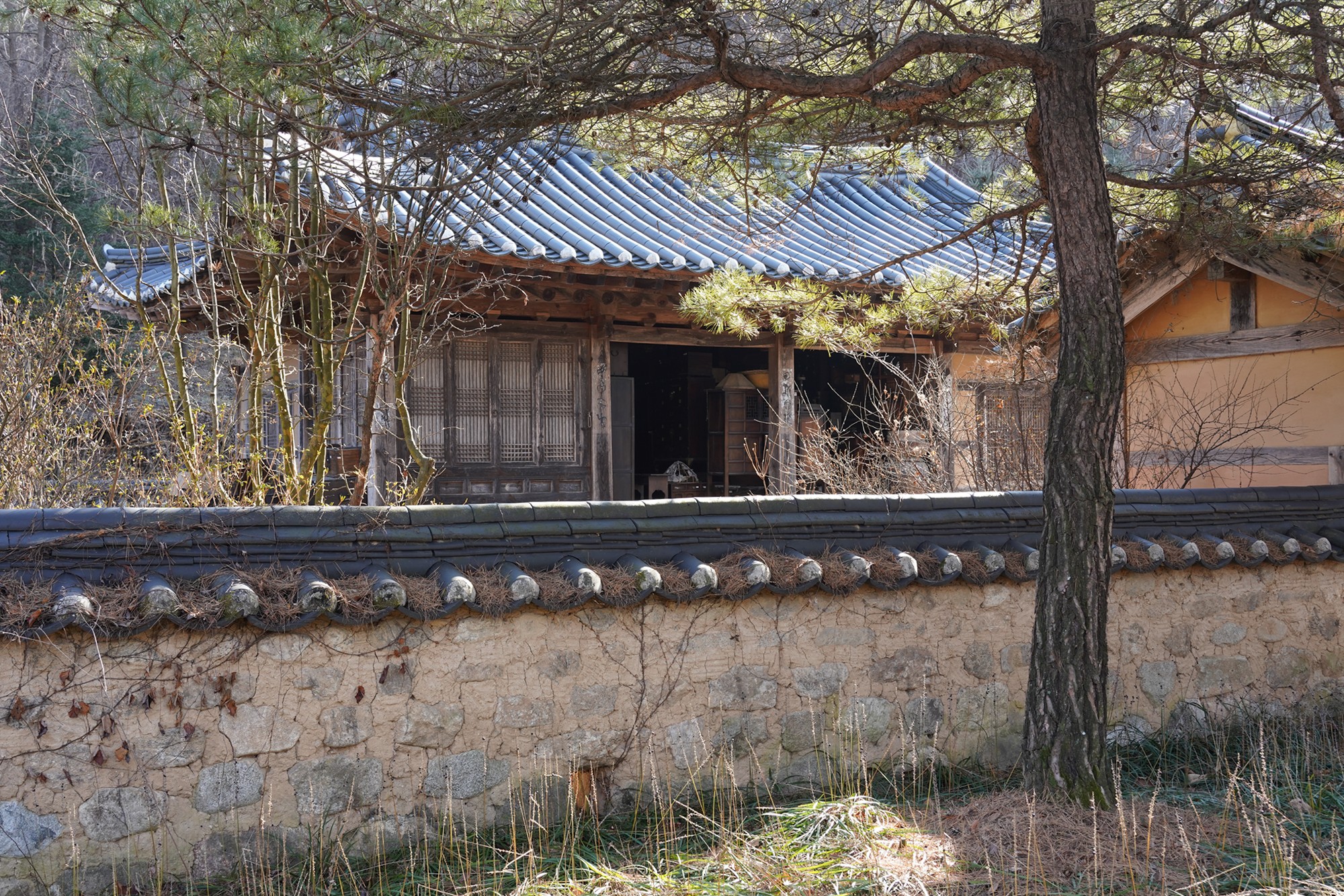 YeongJu (102)