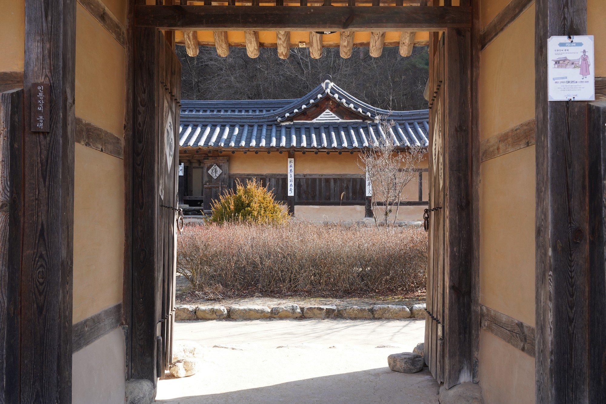 YeongJu (104)