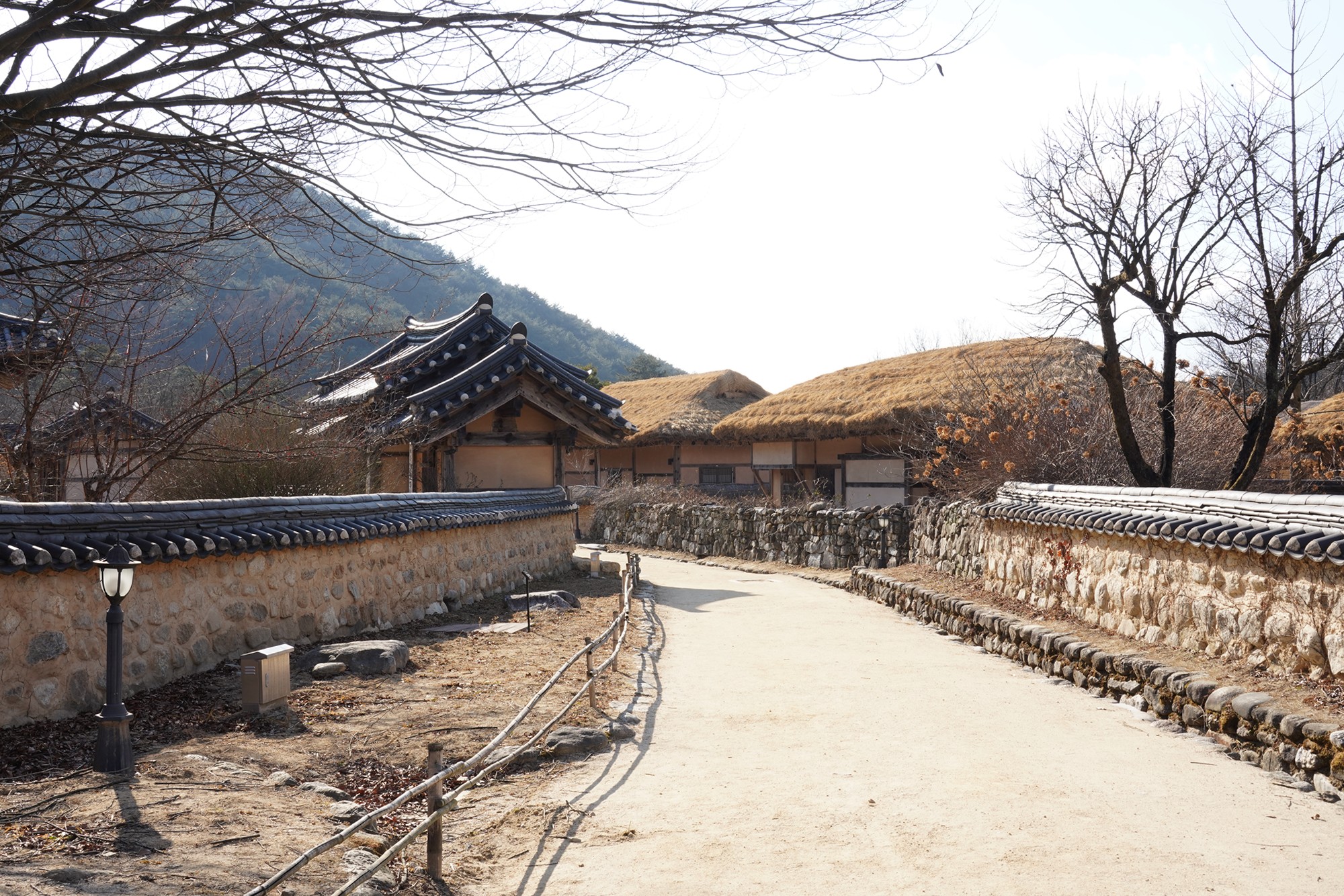 YeongJu (105)