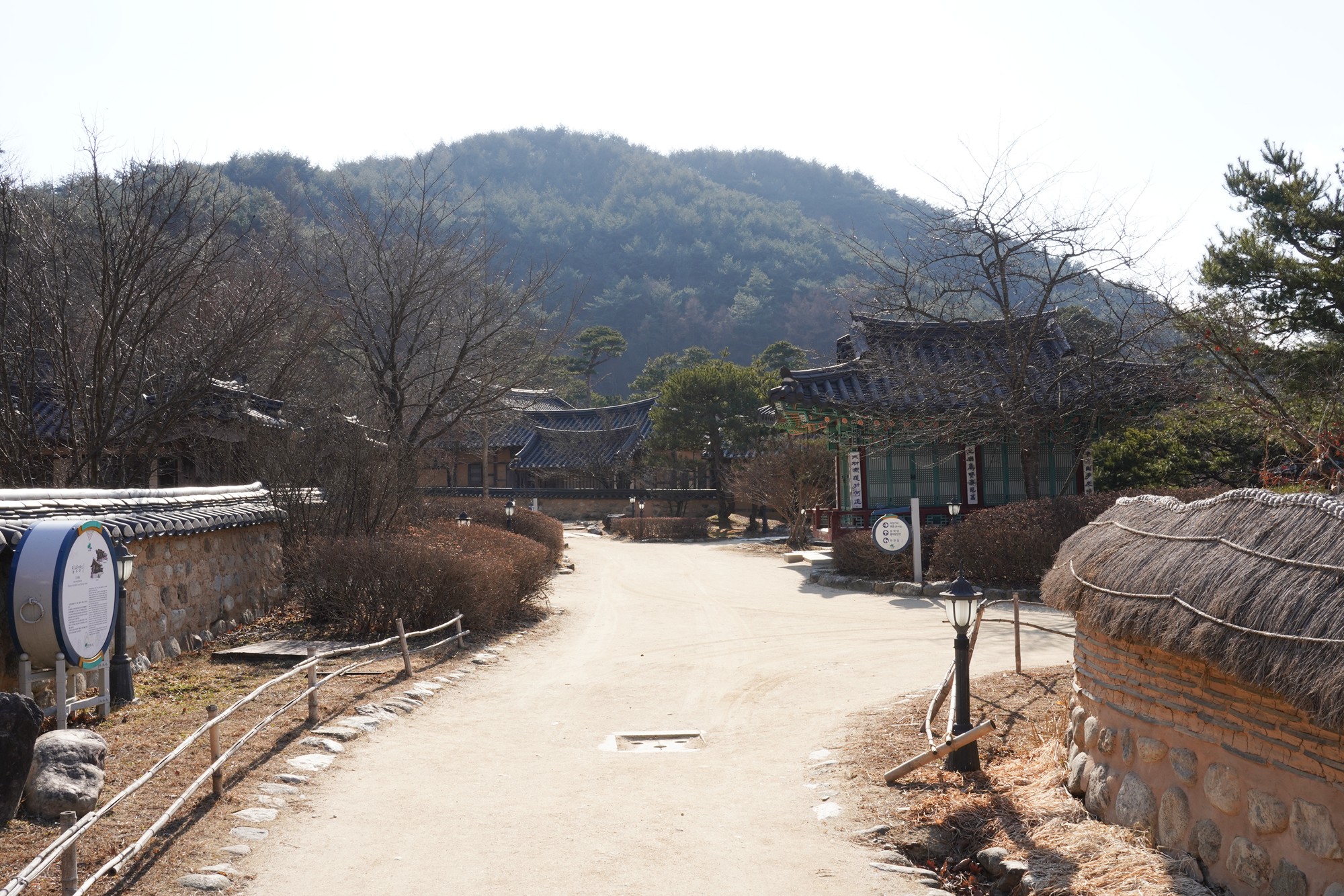 YeongJu (106)
