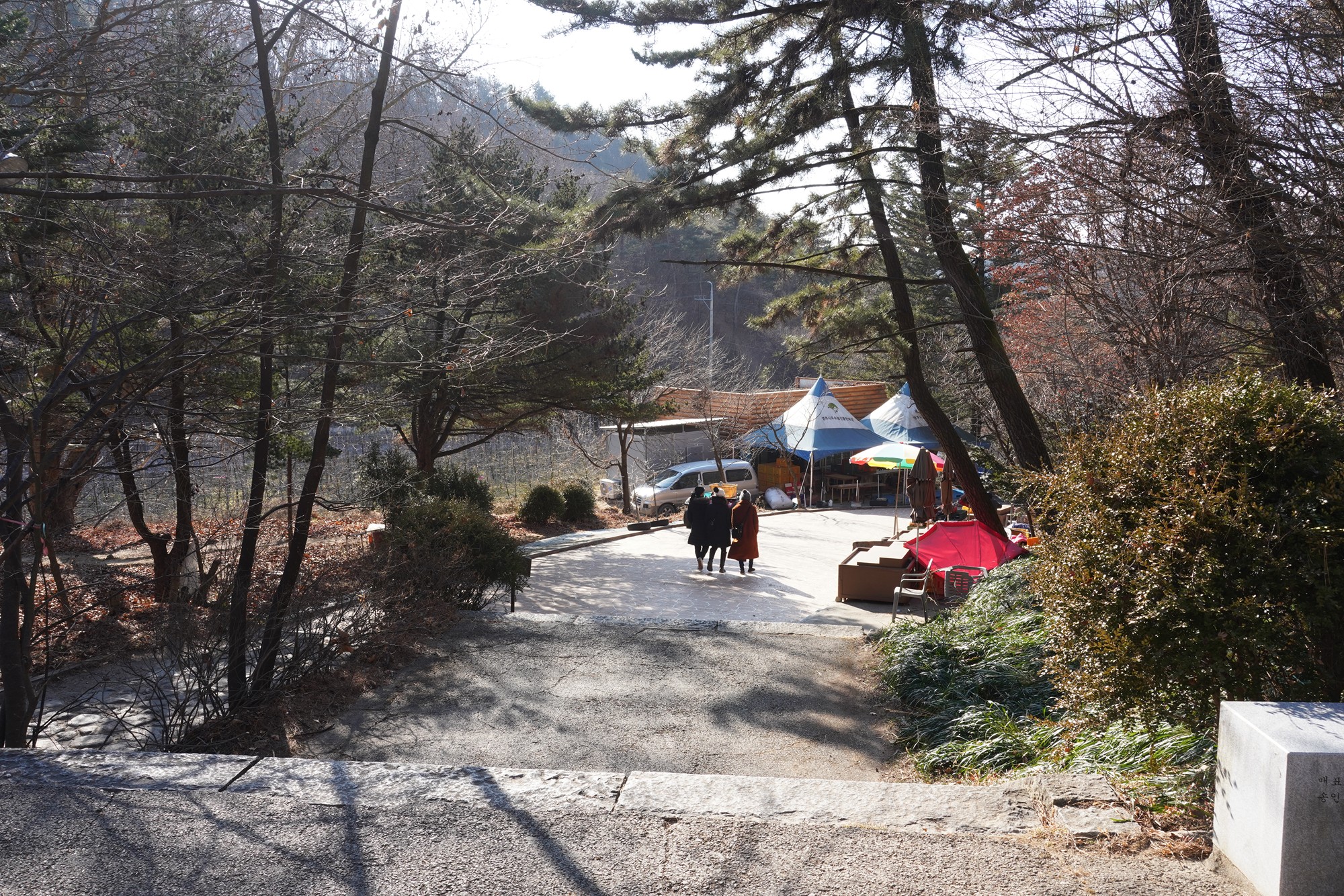 YeongJu (111)
