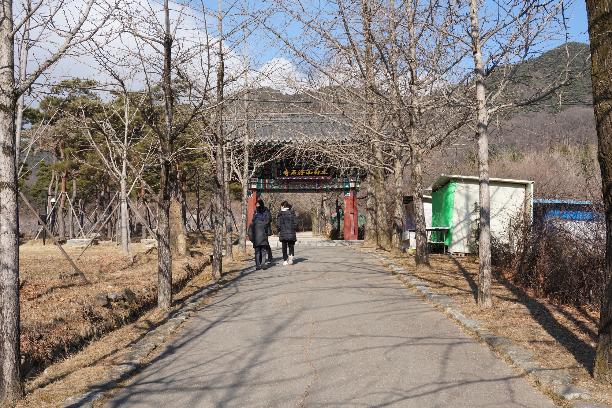 YeongJu (113)