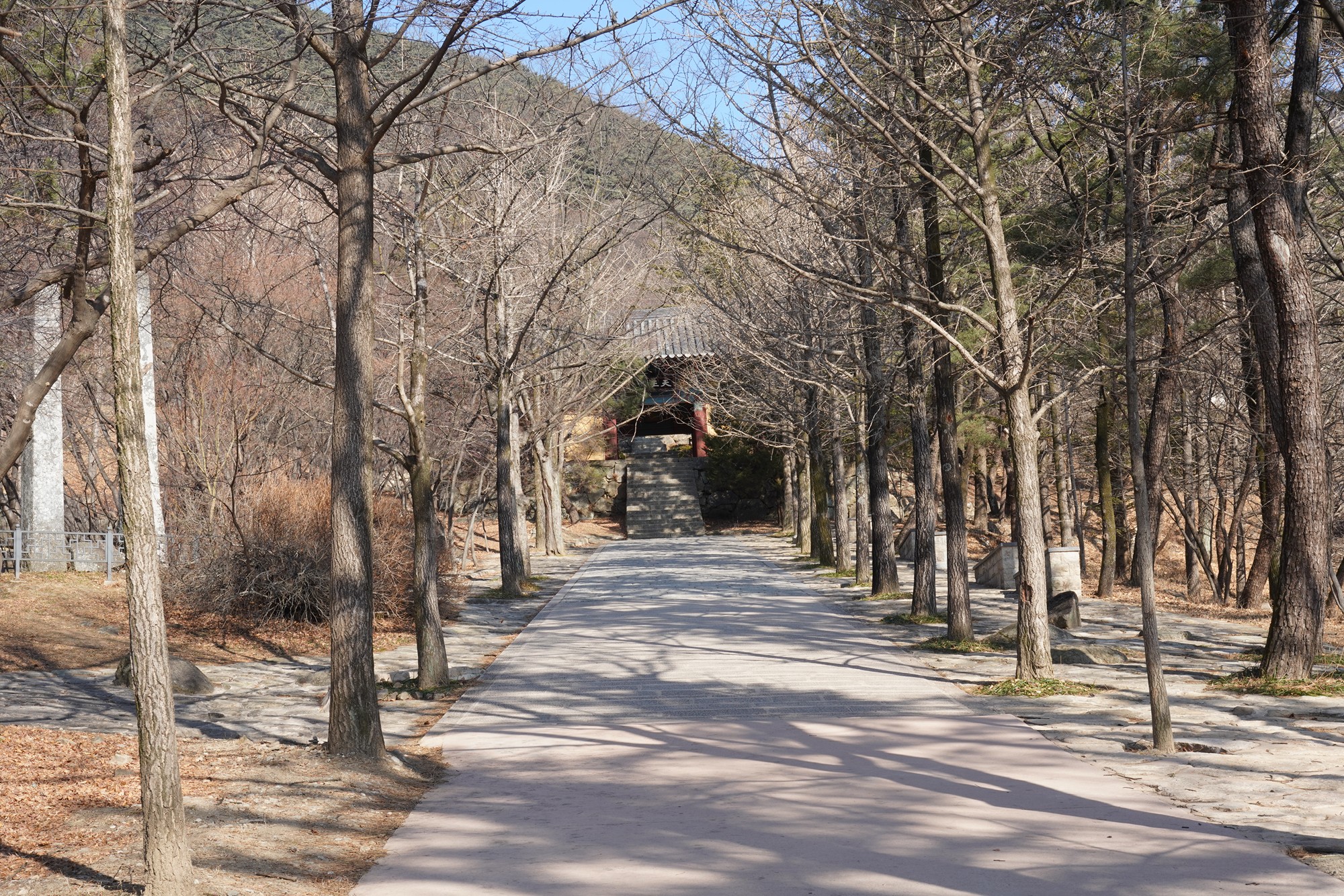 YeongJu (114)