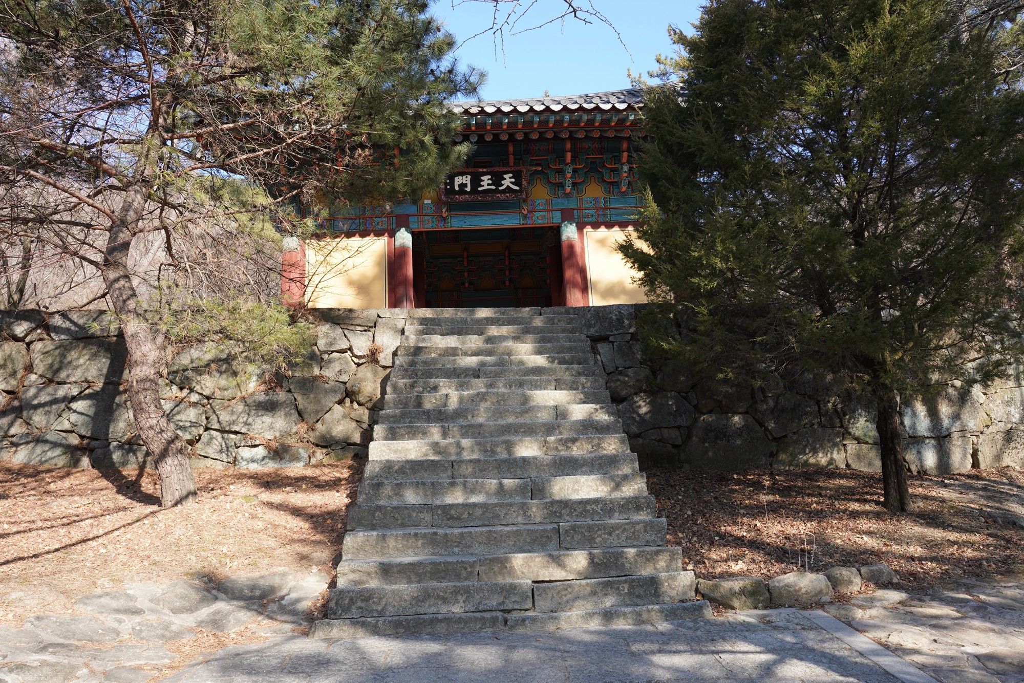 YeongJu (115)