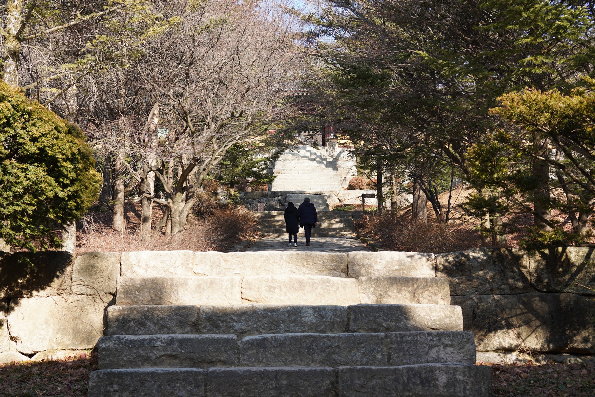YeongJu (117)