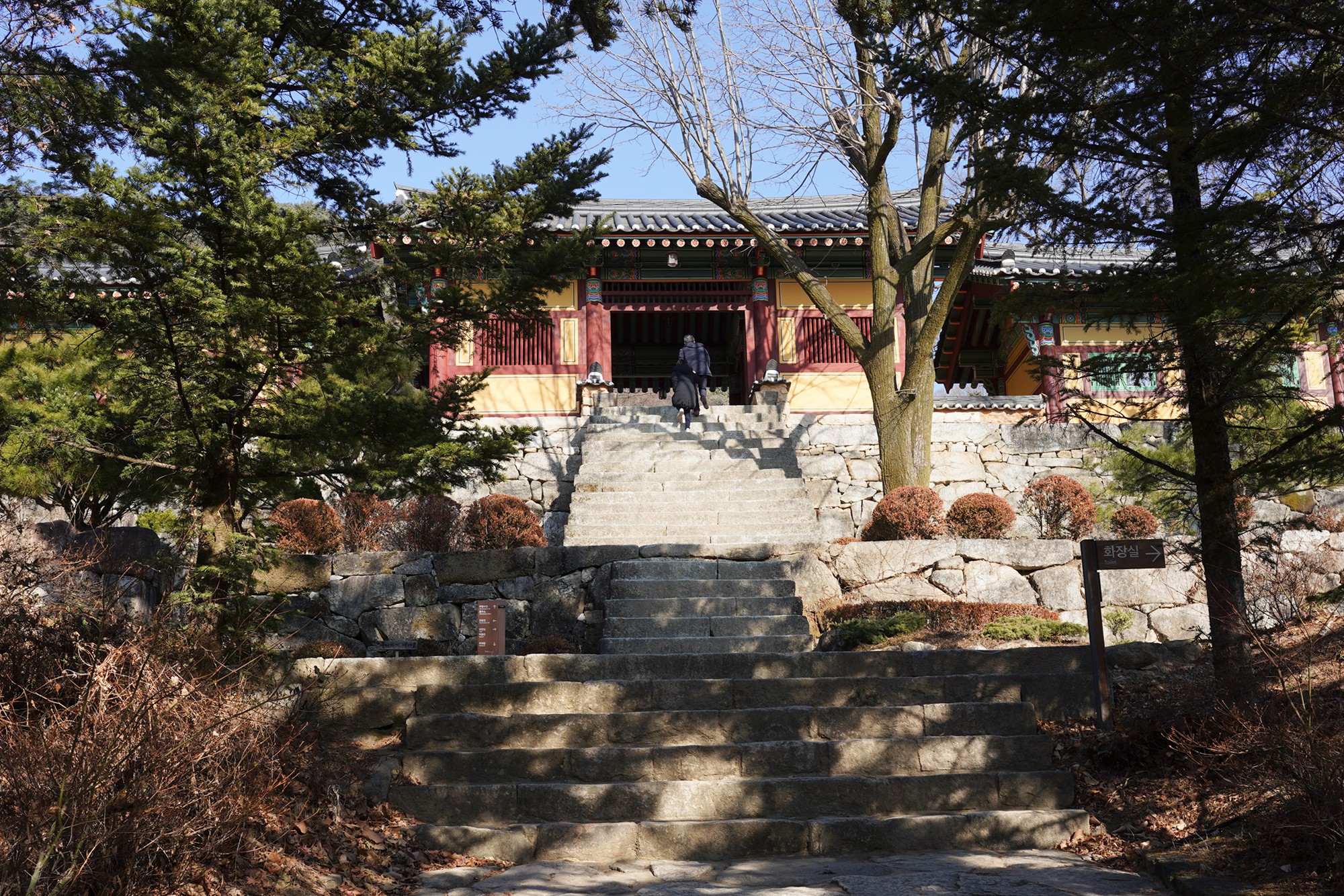 YeongJu (118)