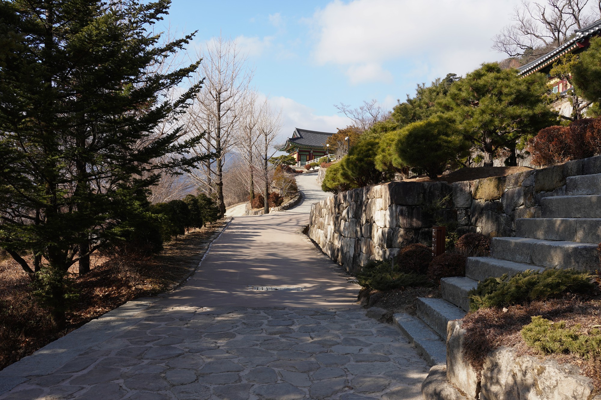 YeongJu (119)