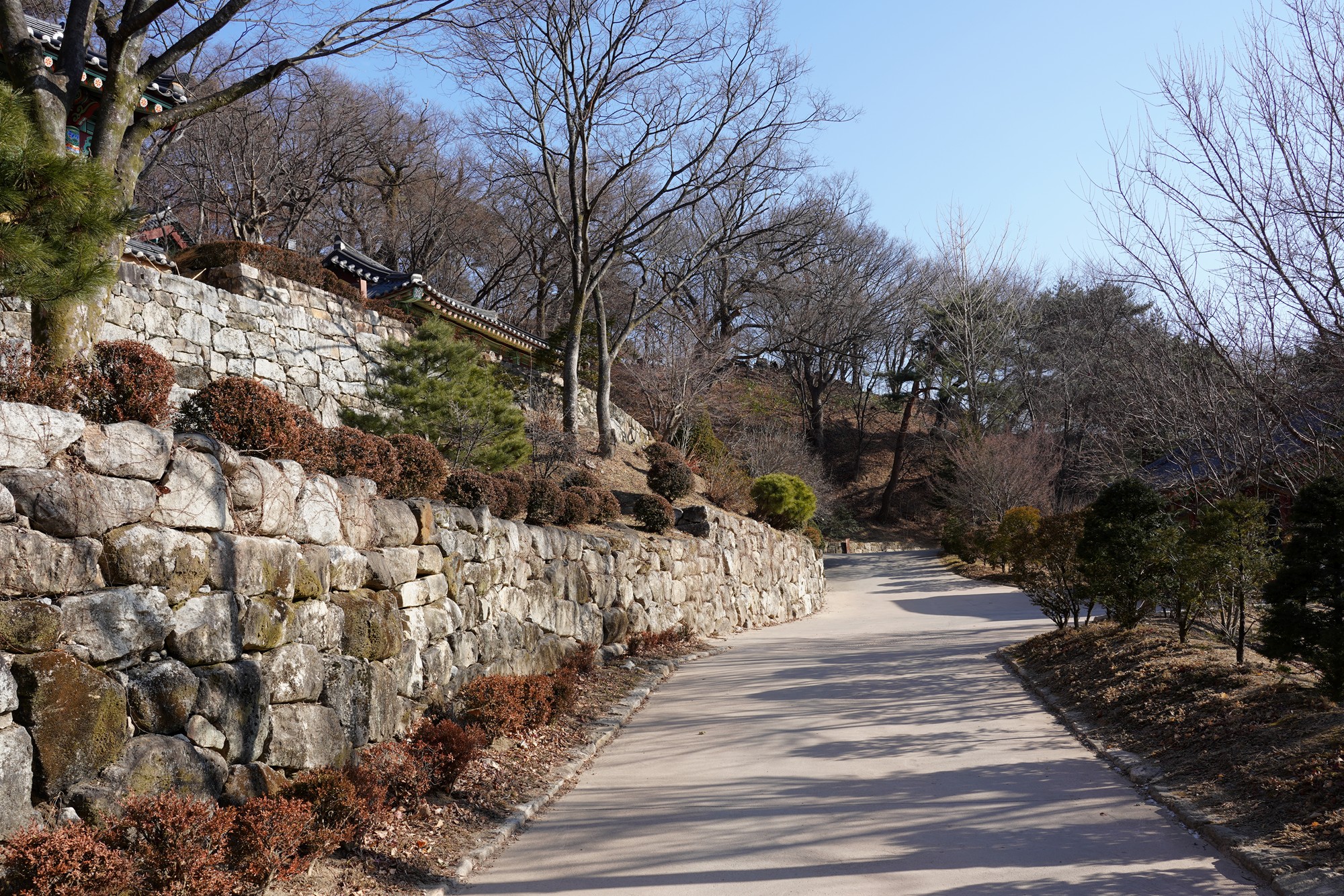 YeongJu (120)