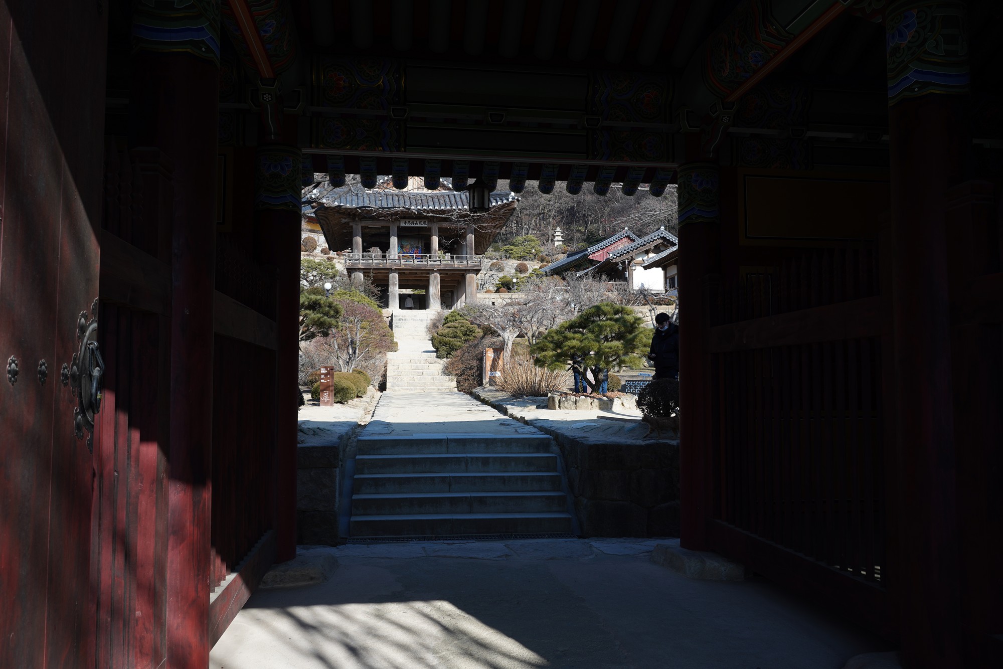 YeongJu (121)