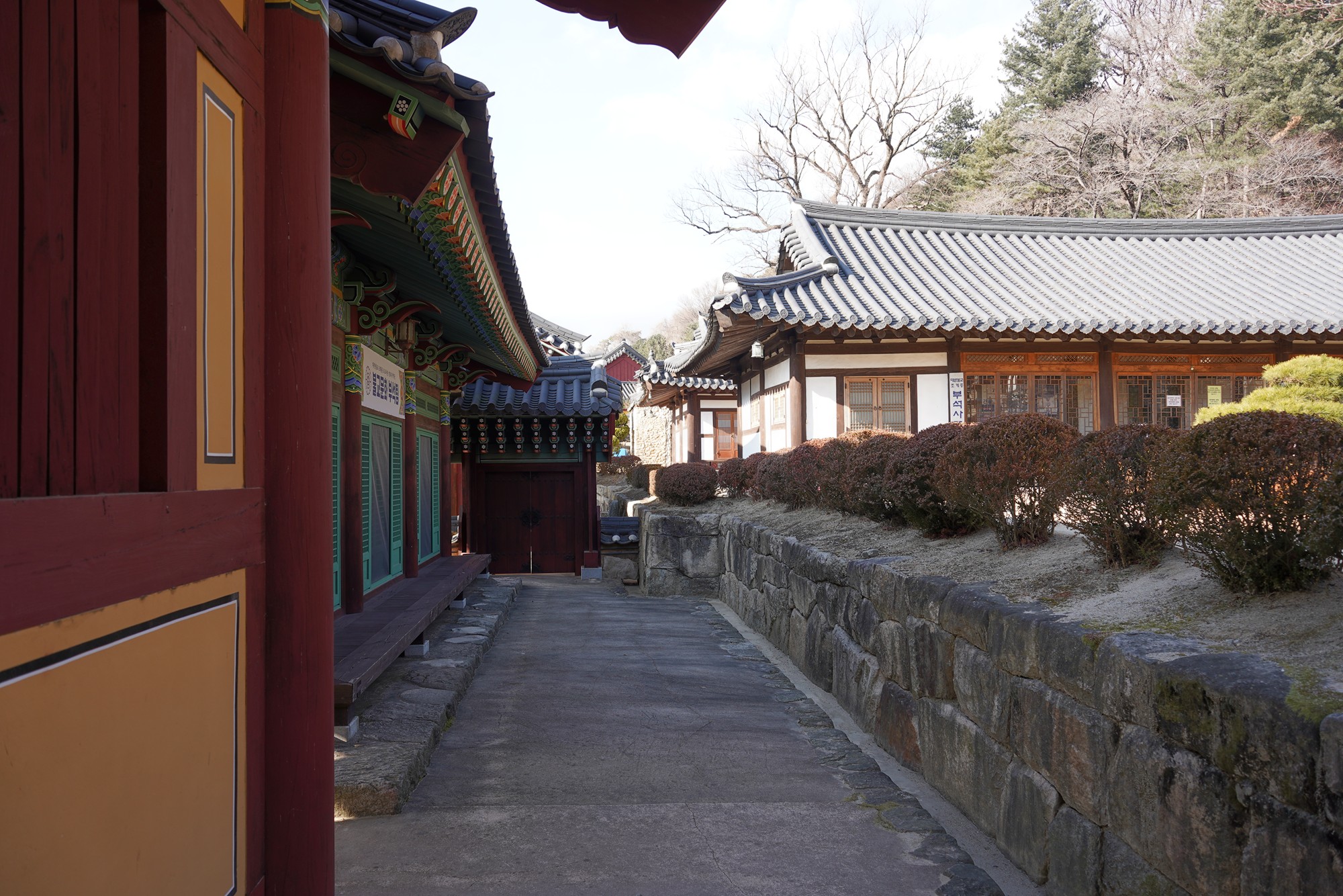 YeongJu (122)