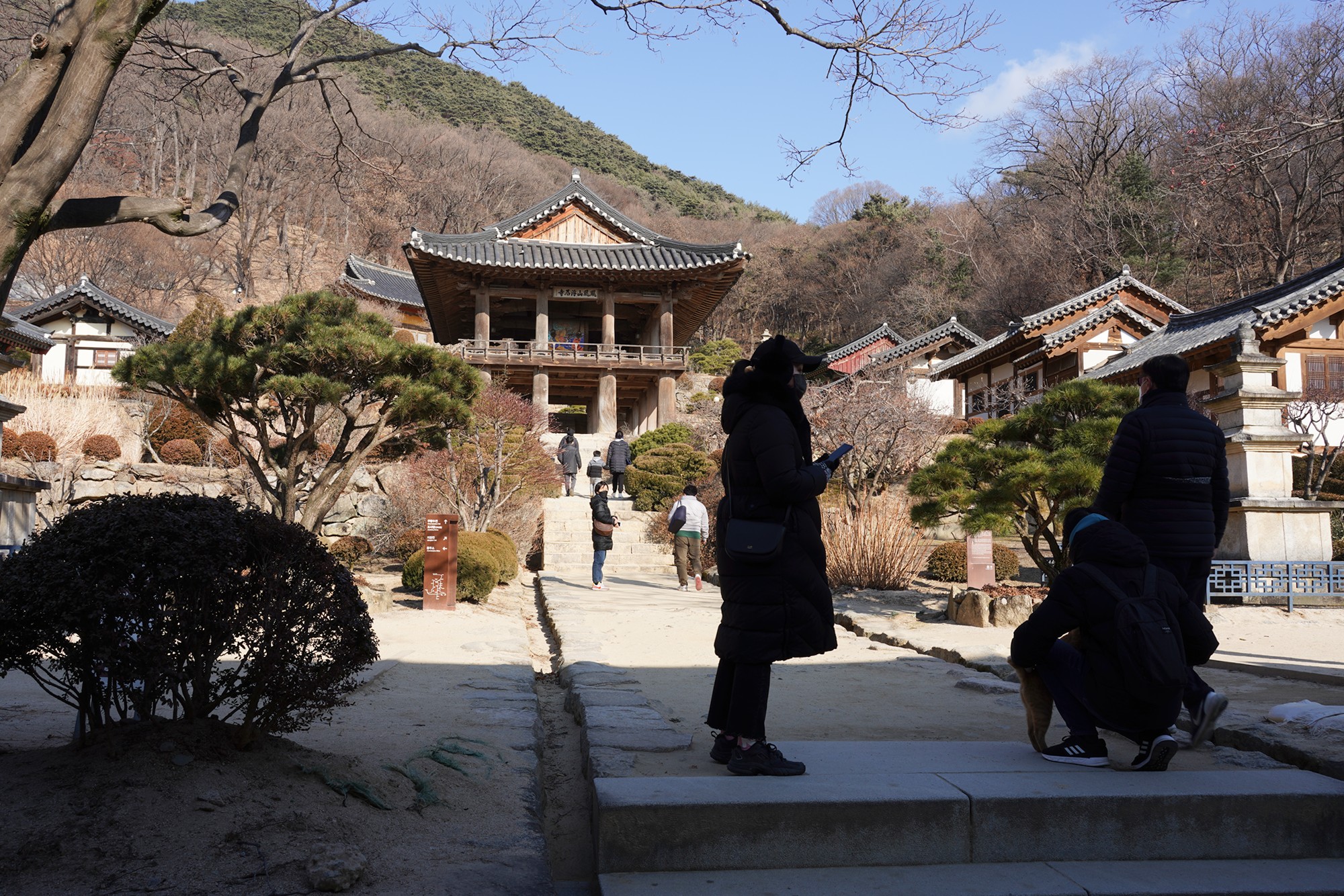 YeongJu (123)