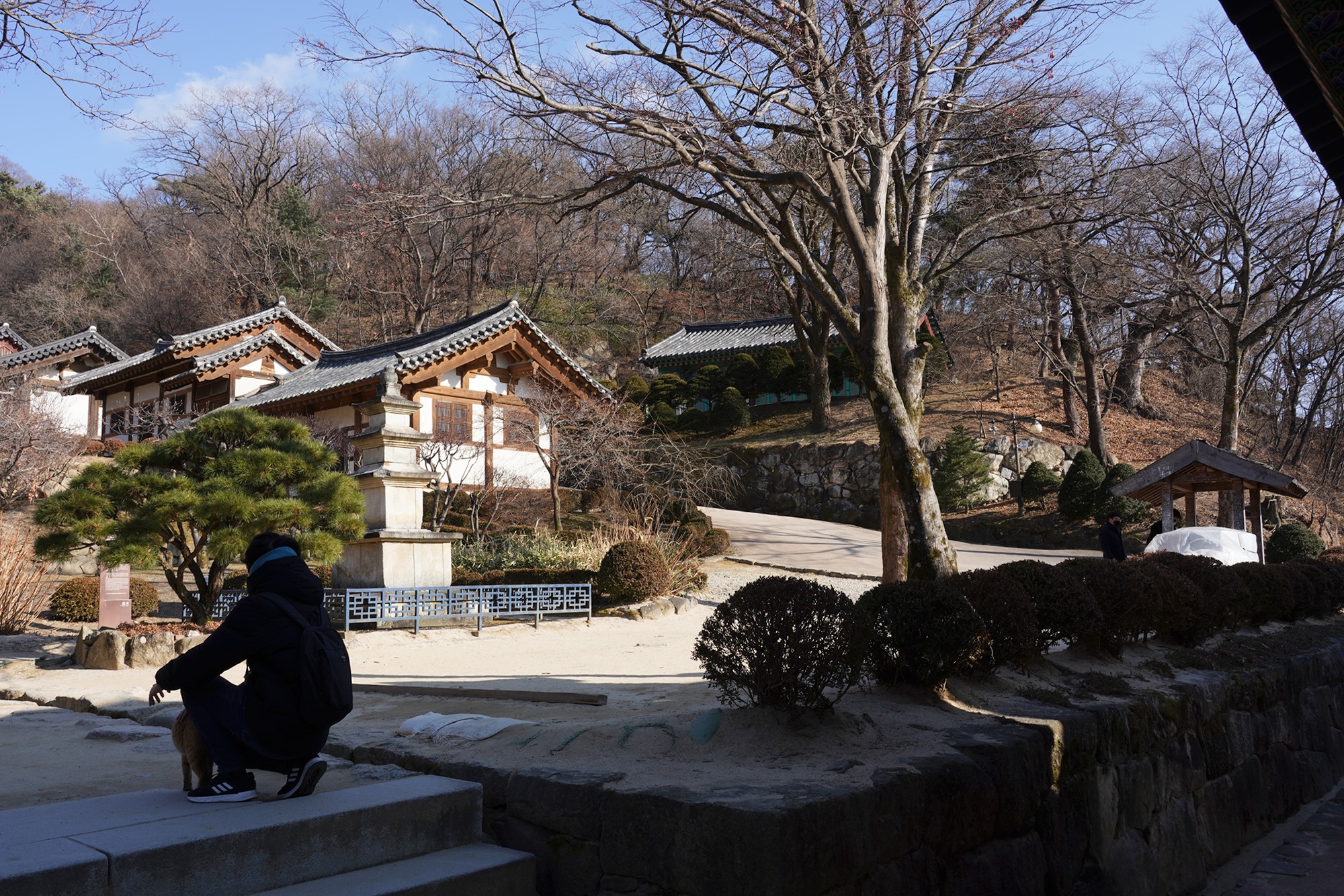YeongJu (124)