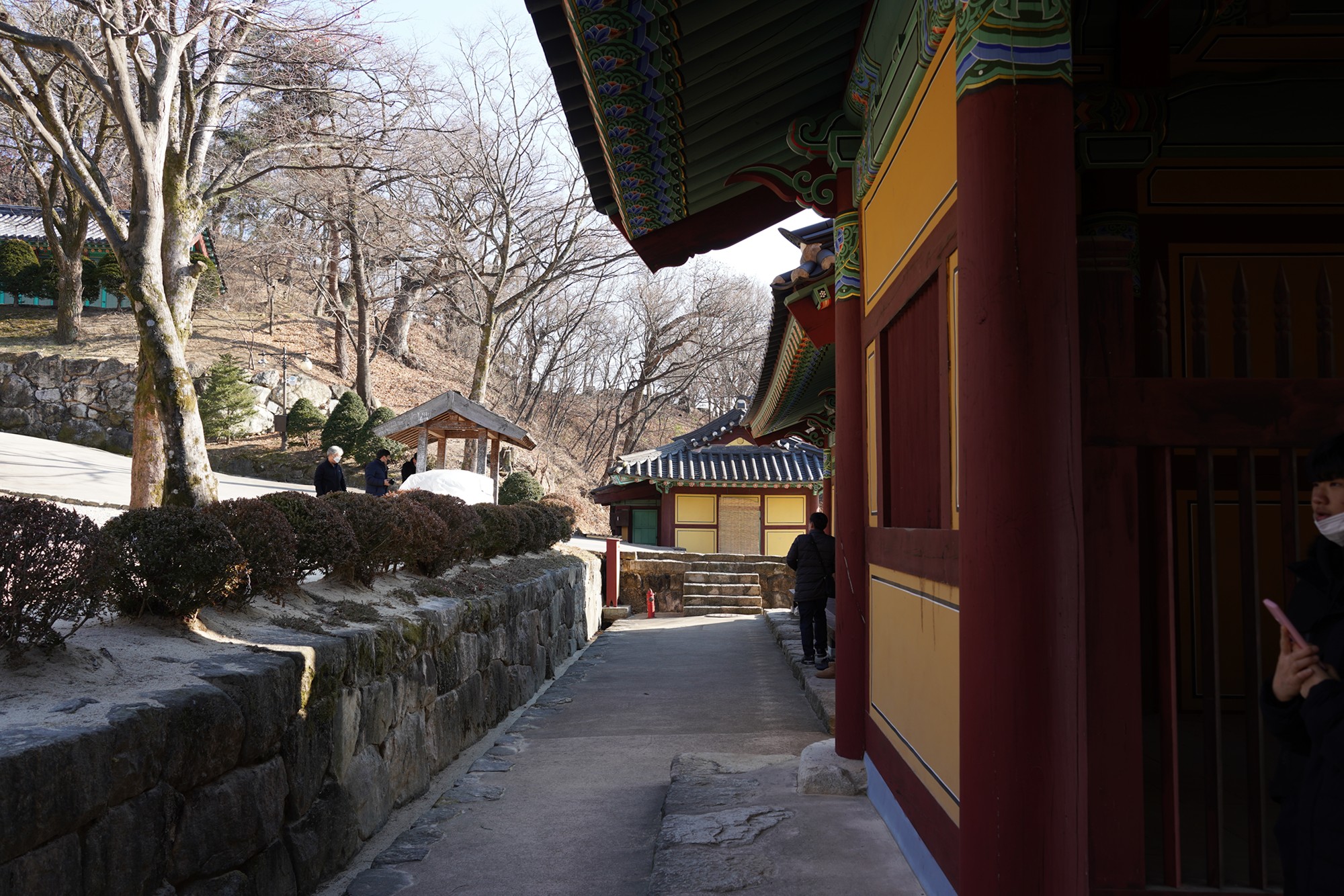 YeongJu (125)
