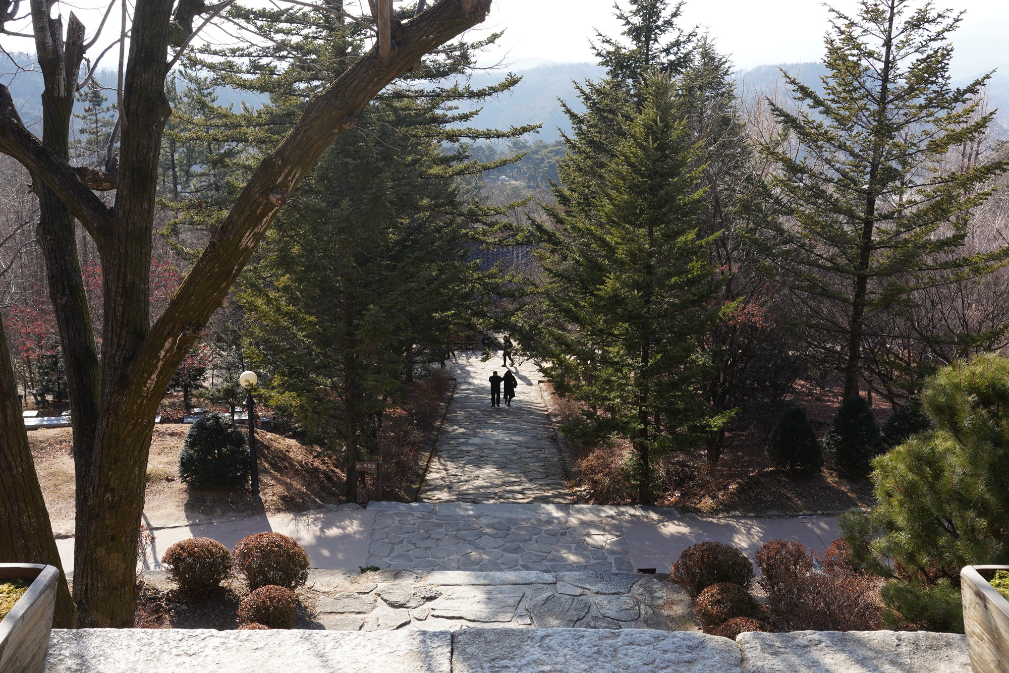 YeongJu (126)