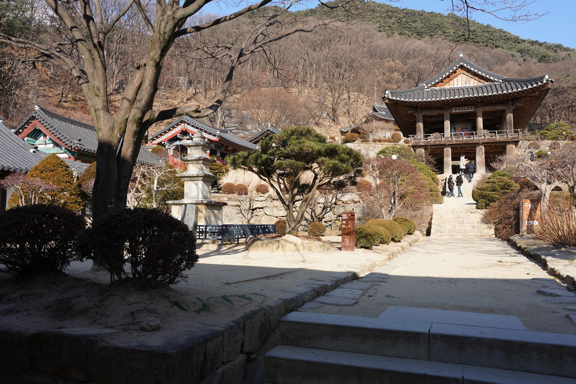 YeongJu (127)