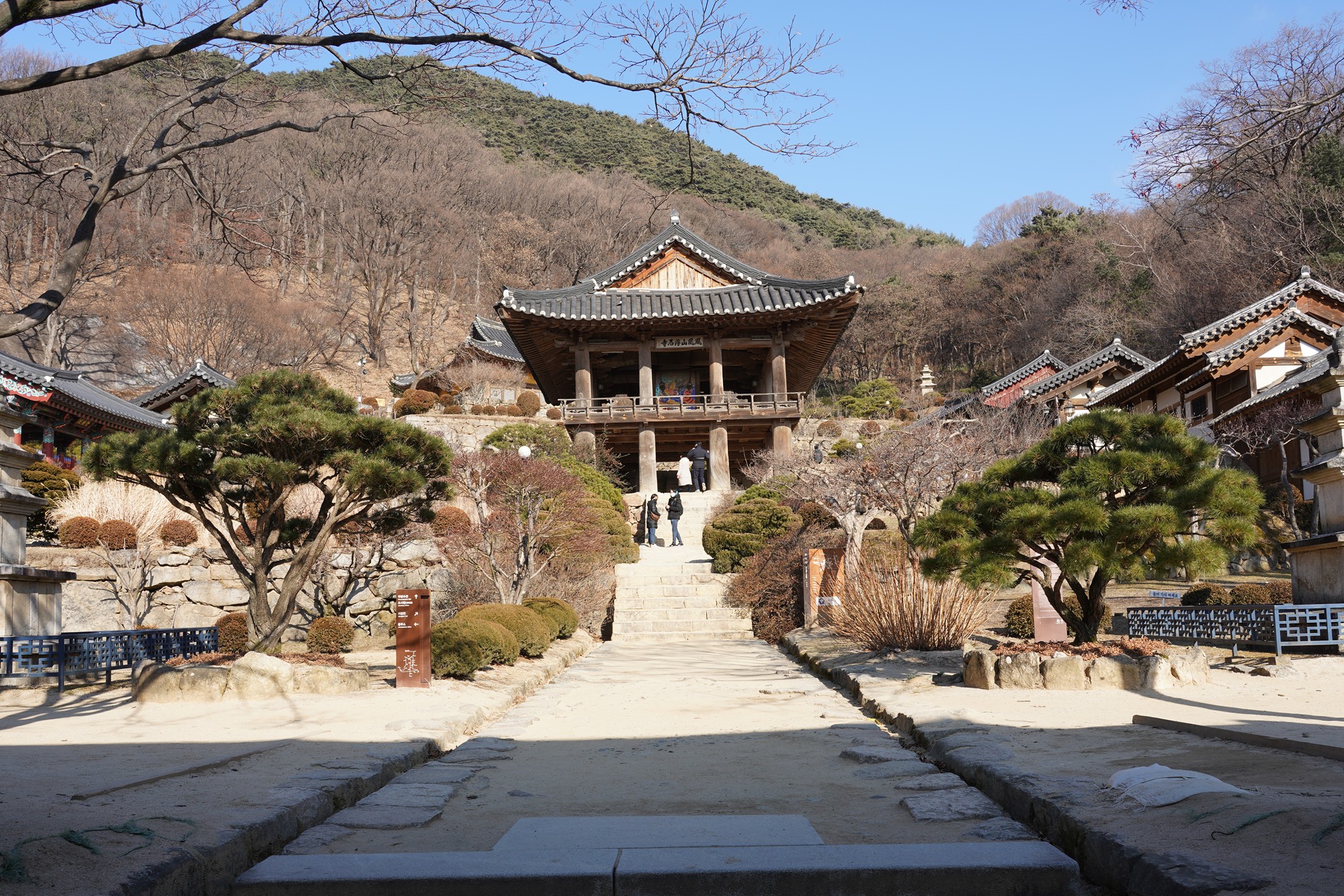 YeongJu (128)