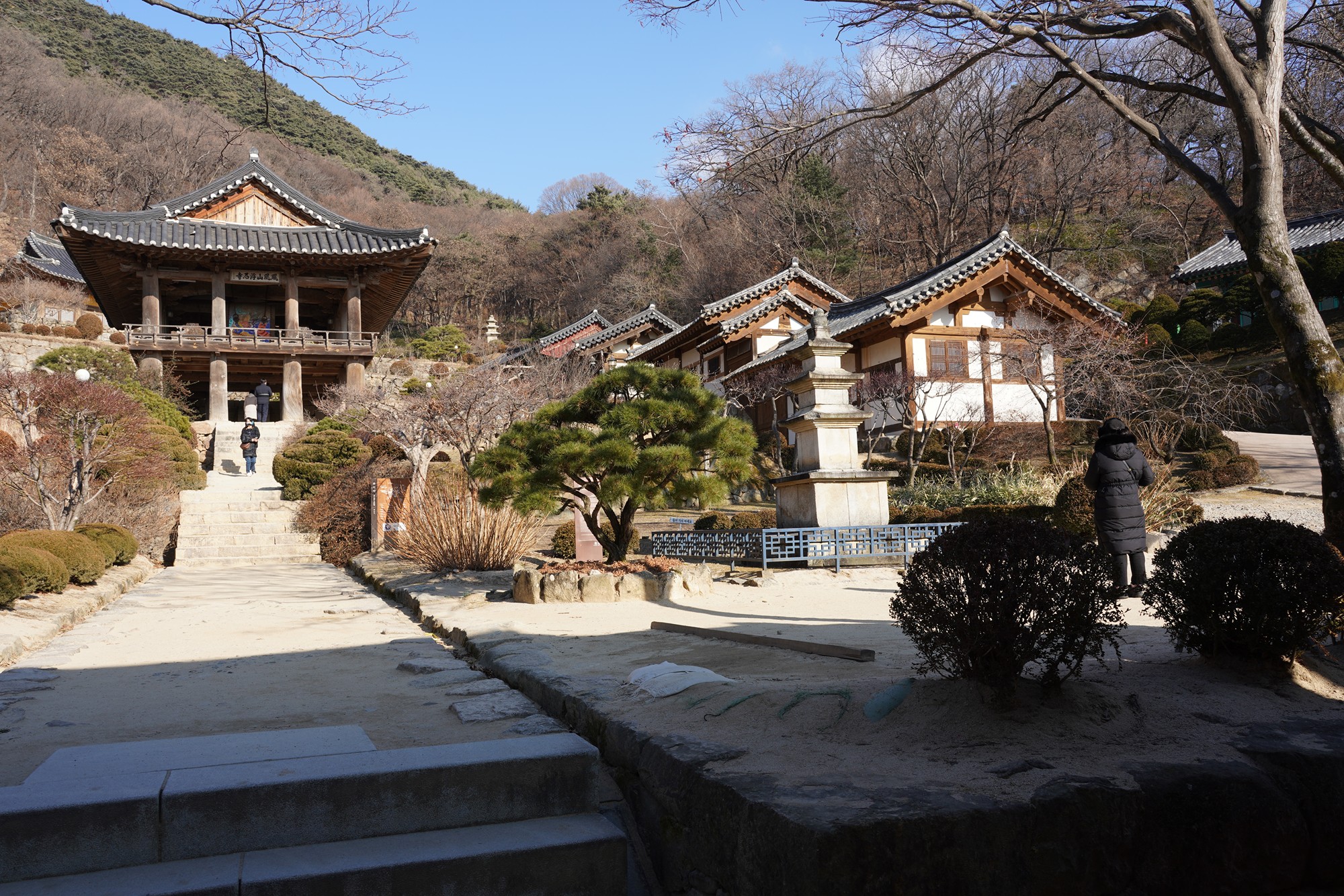 YeongJu (129)