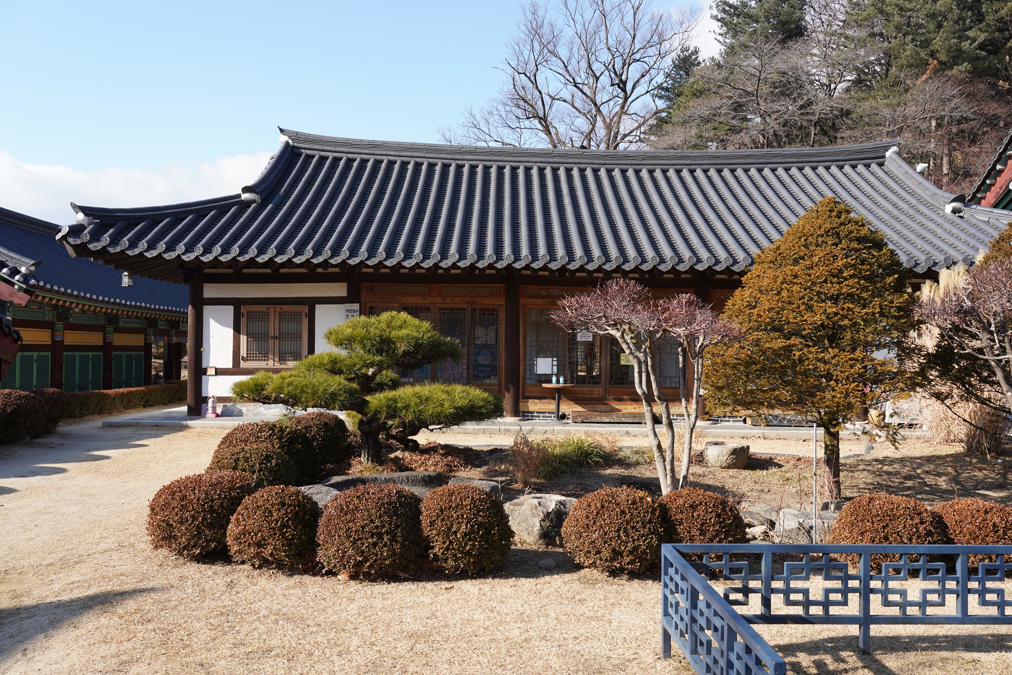 YeongJu (130)