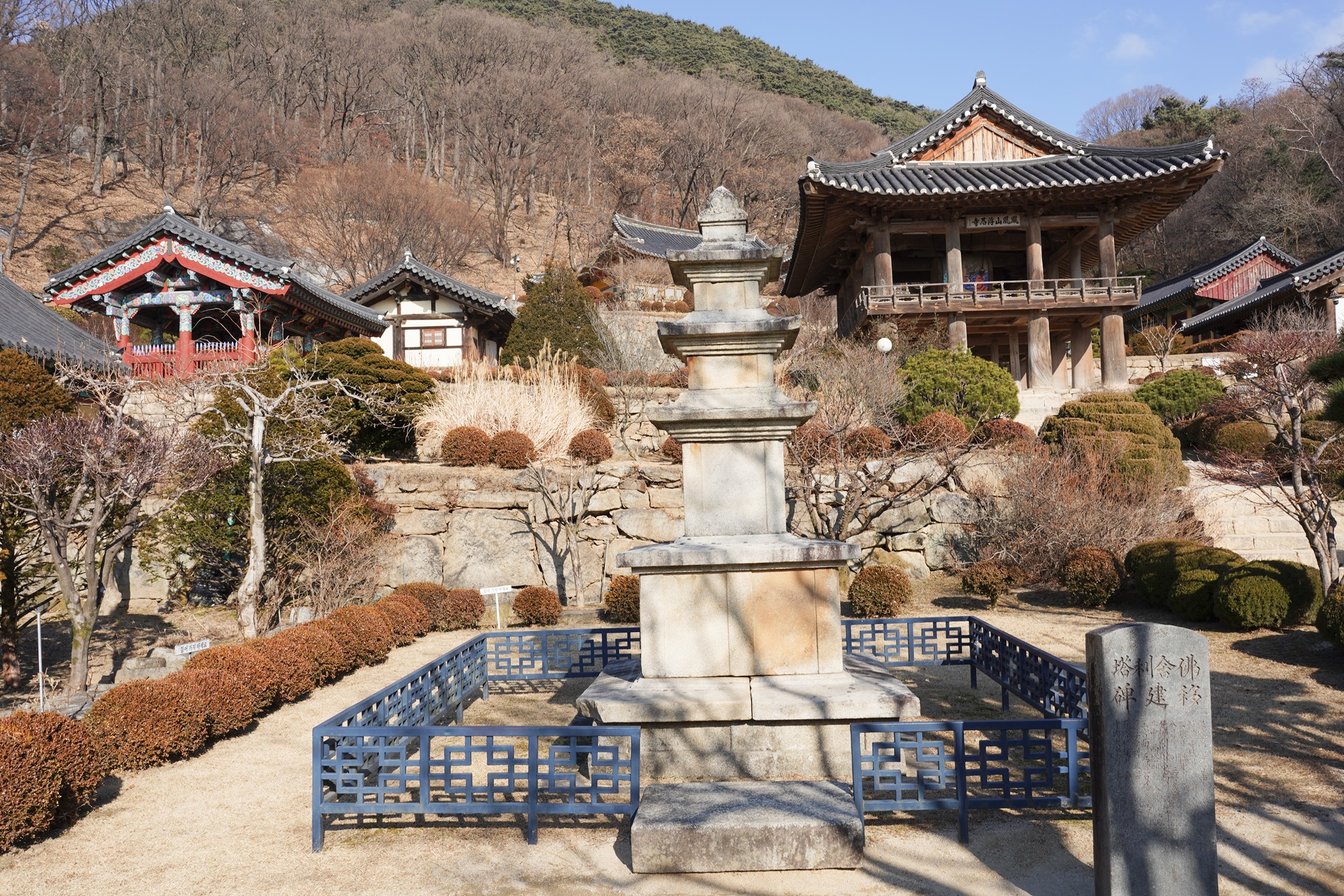 YeongJu (131)