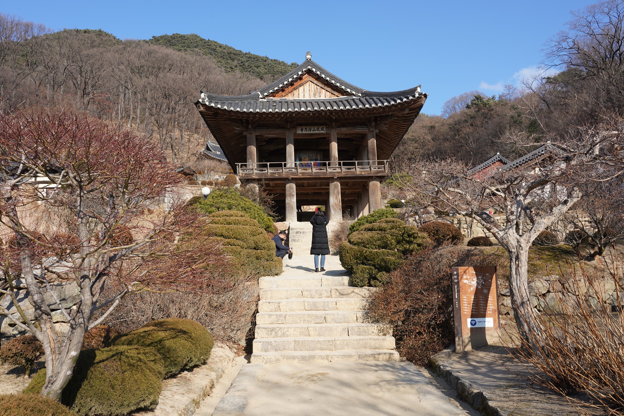 YeongJu (133)