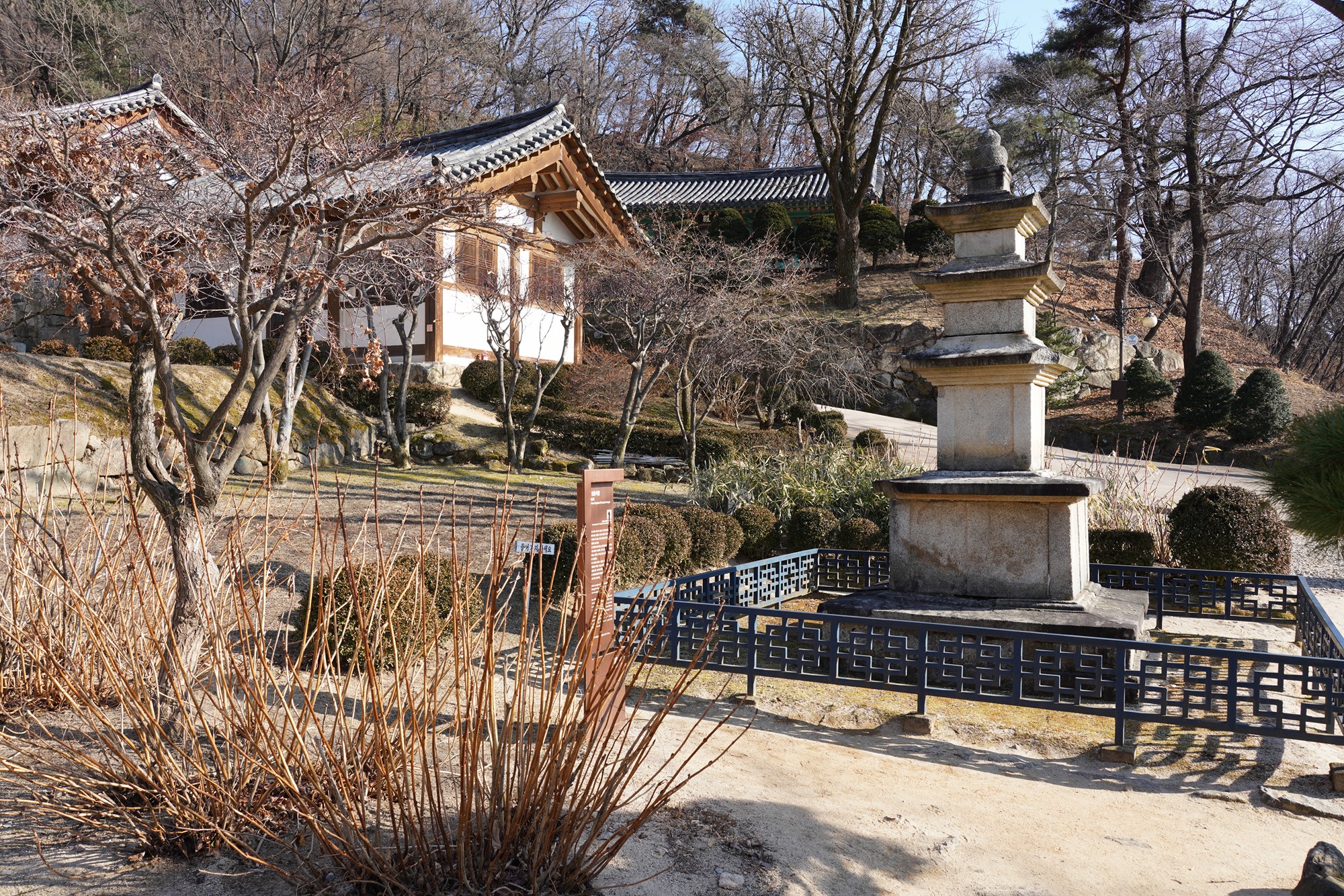 YeongJu (134)