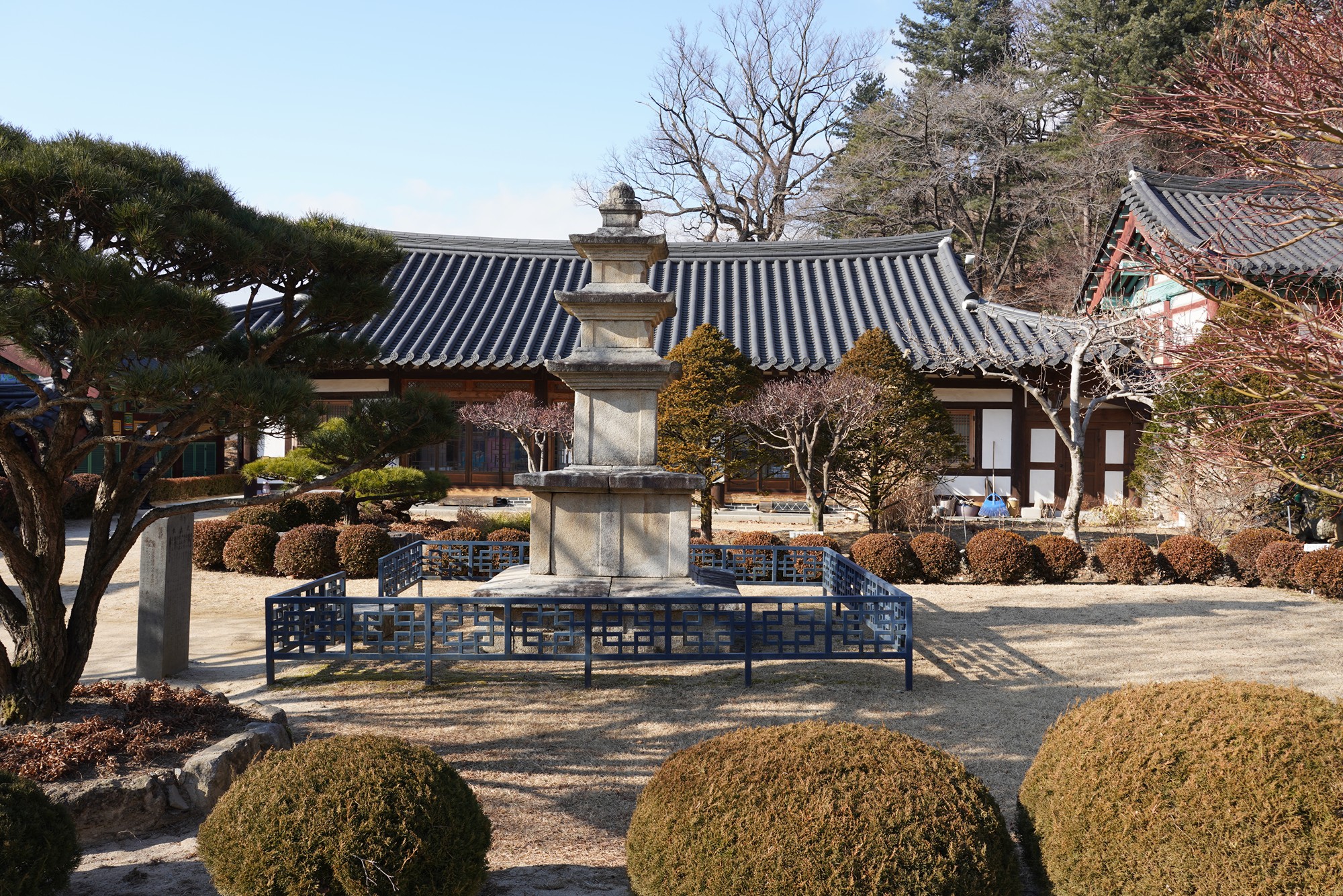 YeongJu (135)