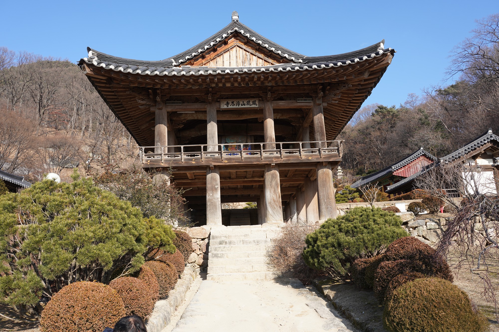 YeongJu (137)