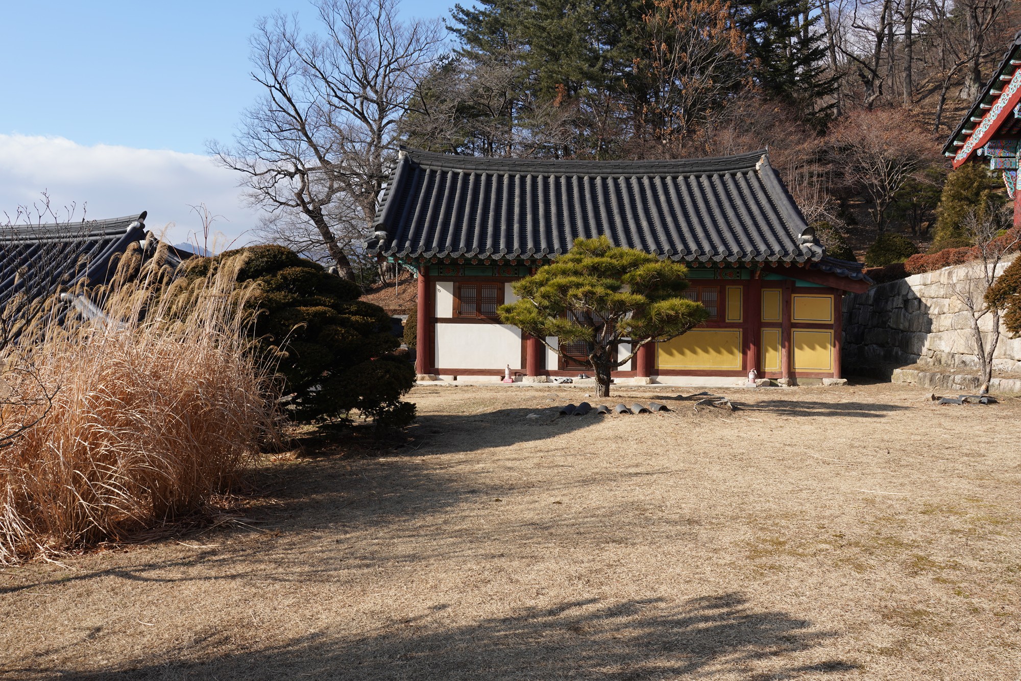 YeongJu (138)