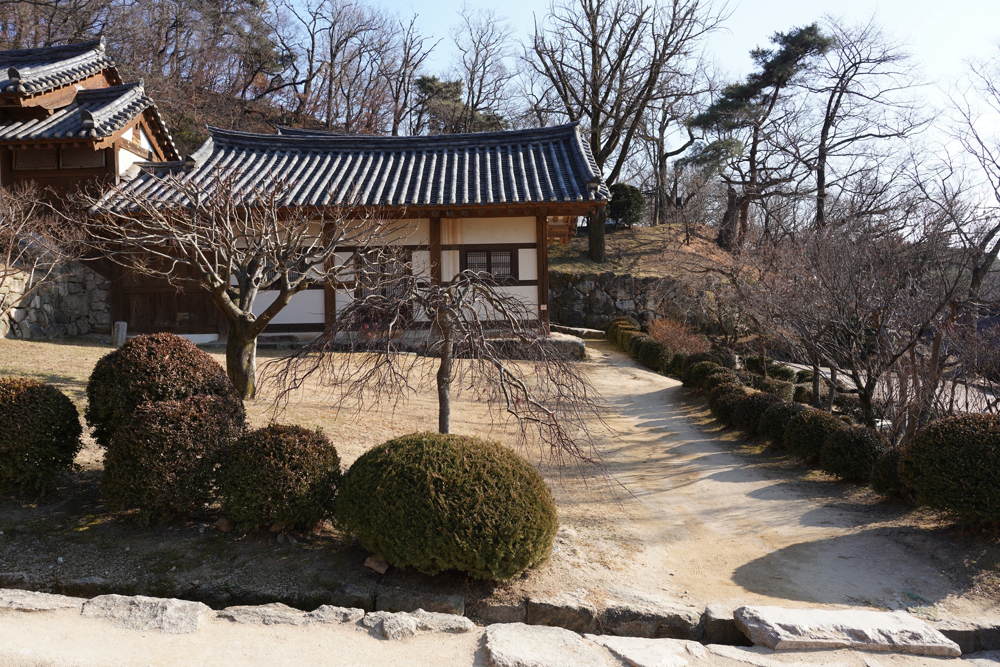 YeongJu (139)