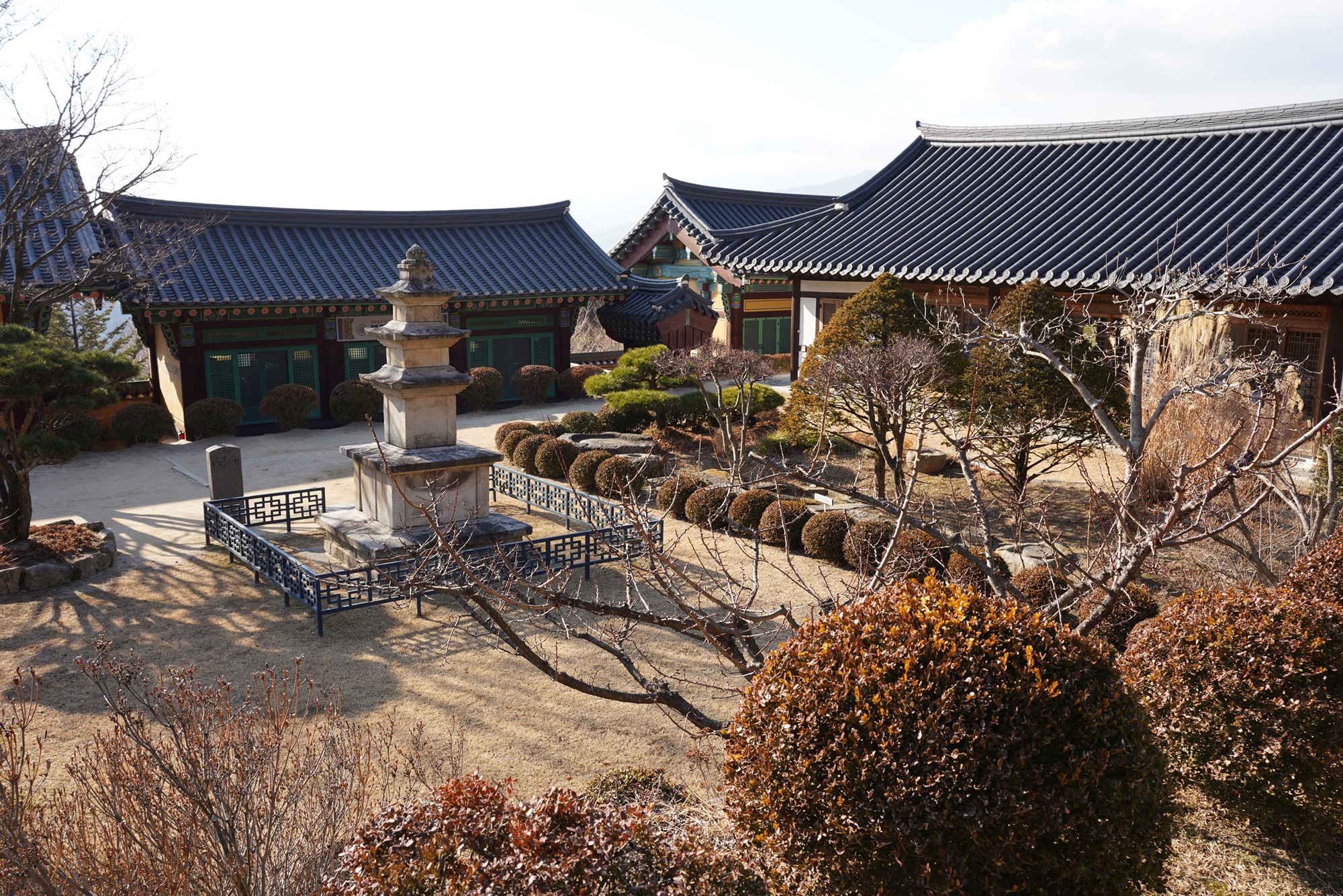 YeongJu (140)