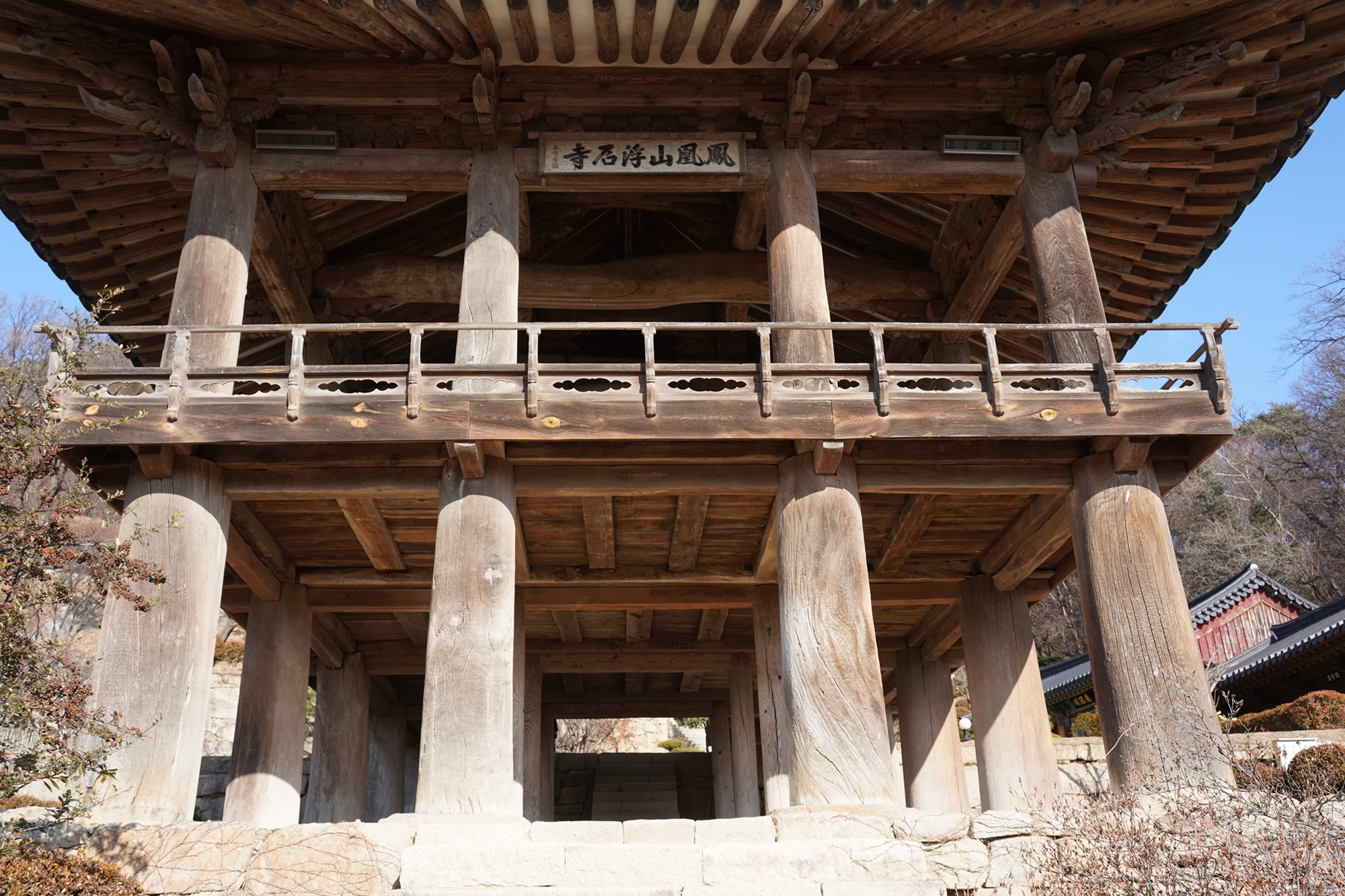 YeongJu (141)