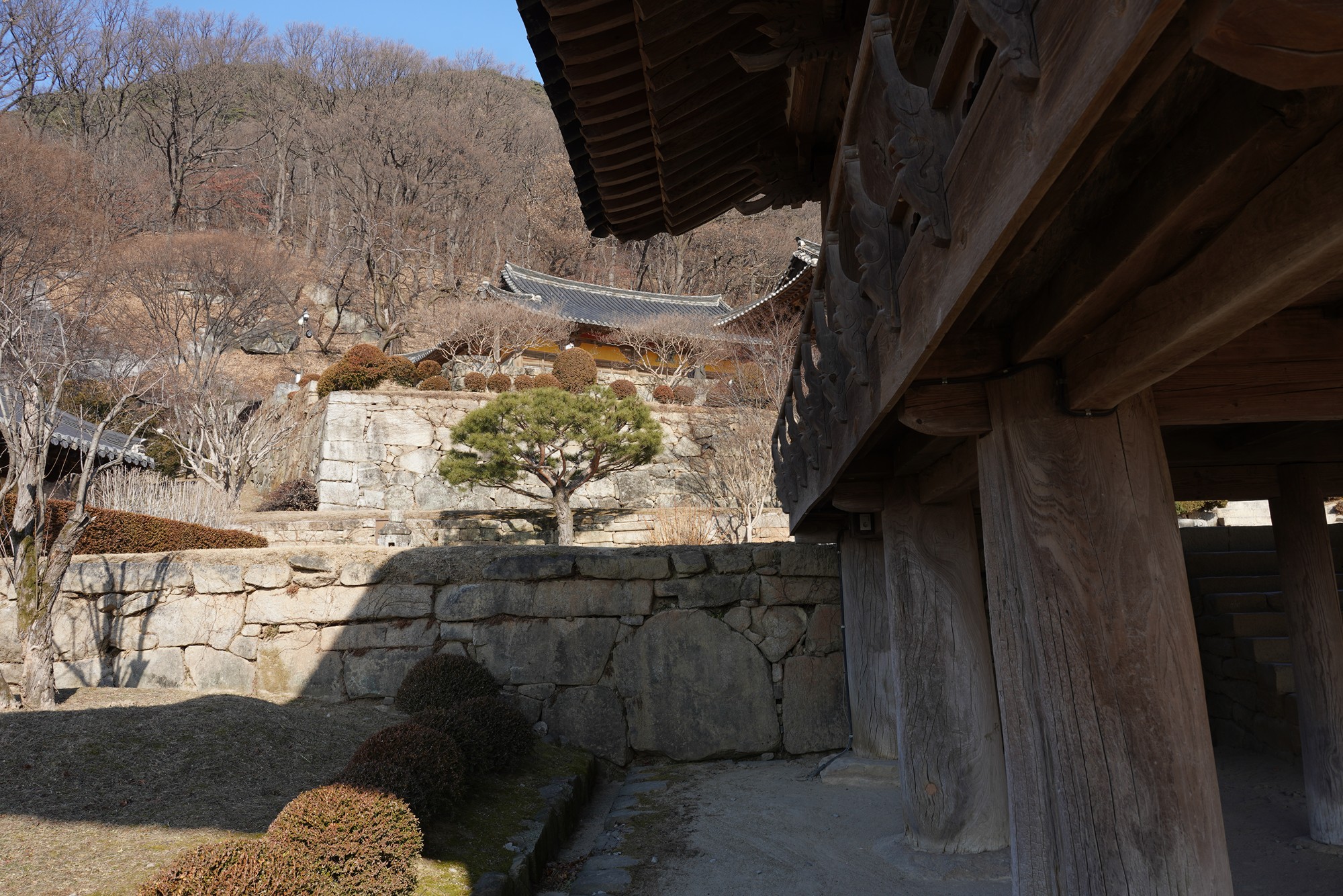 YeongJu (143)