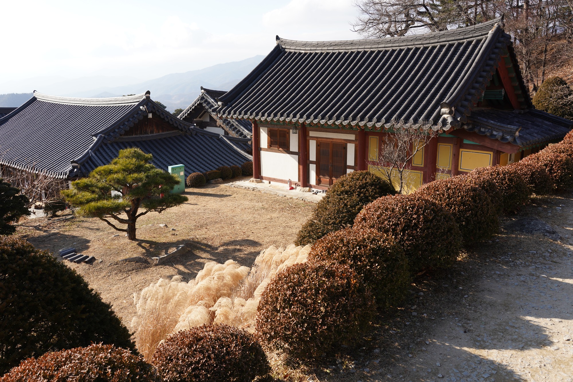 YeongJu (144)
