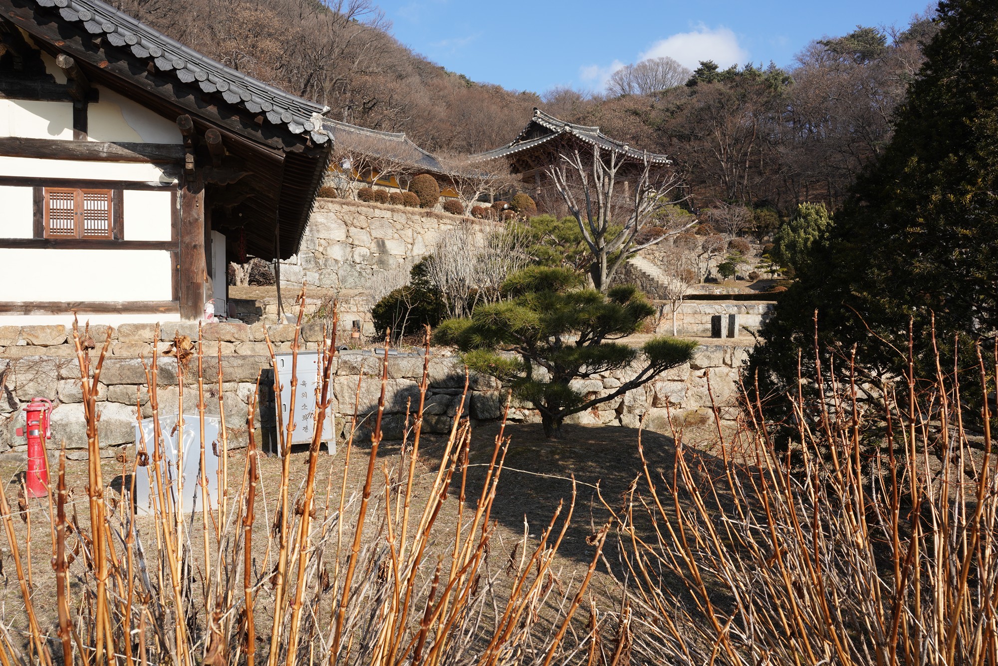 YeongJu (146)